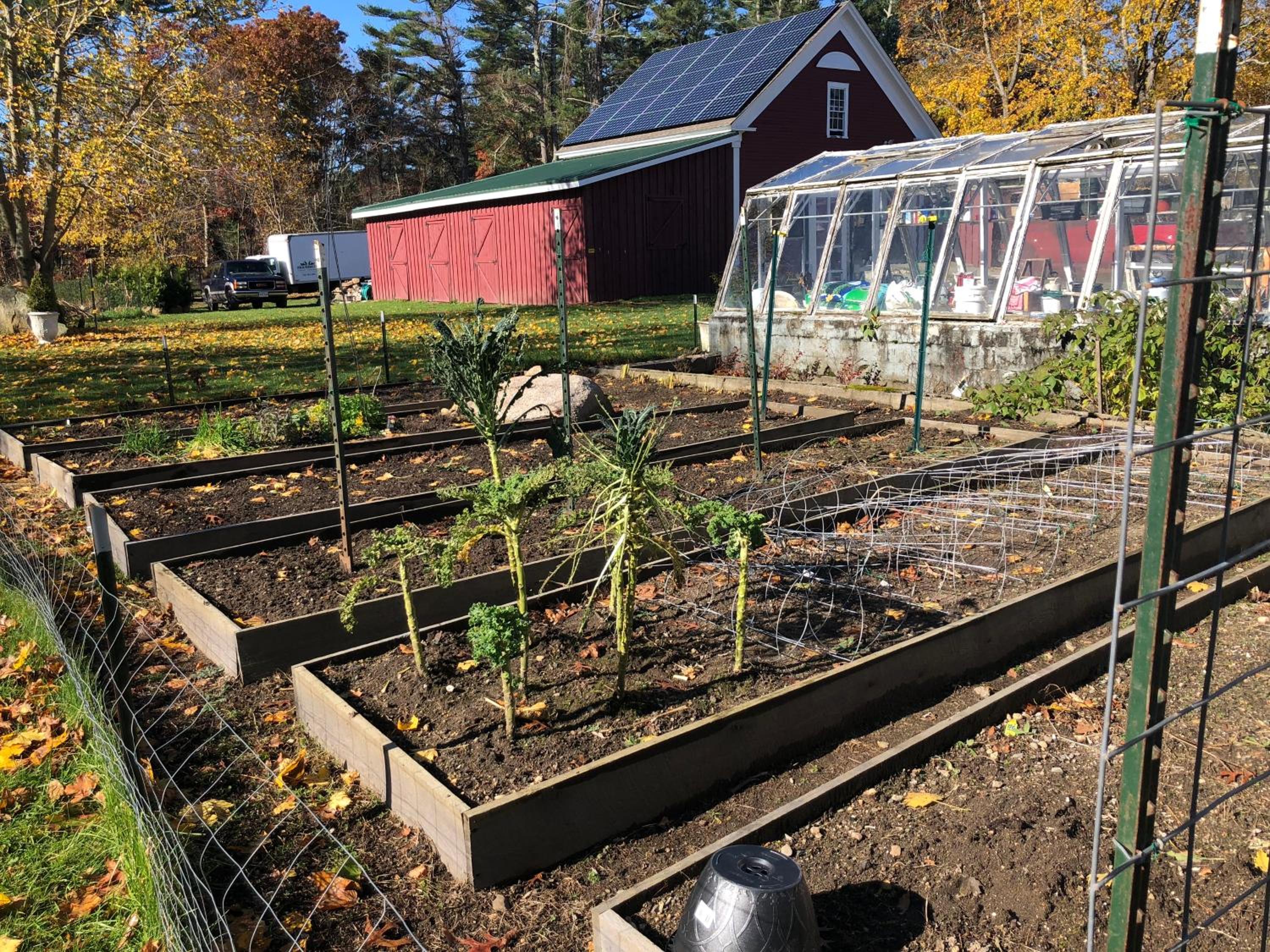 Marion Vacations - Silvershell Inn - Property Image 56