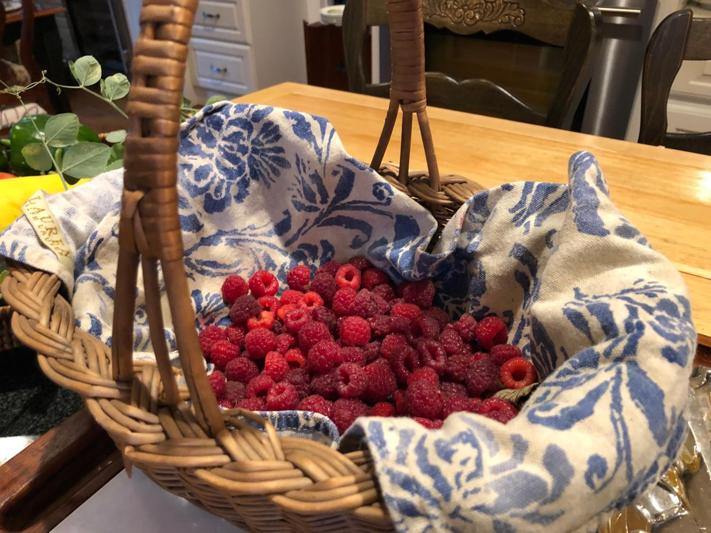 Marion Vacations - Silvershell Inn - Property Image 79