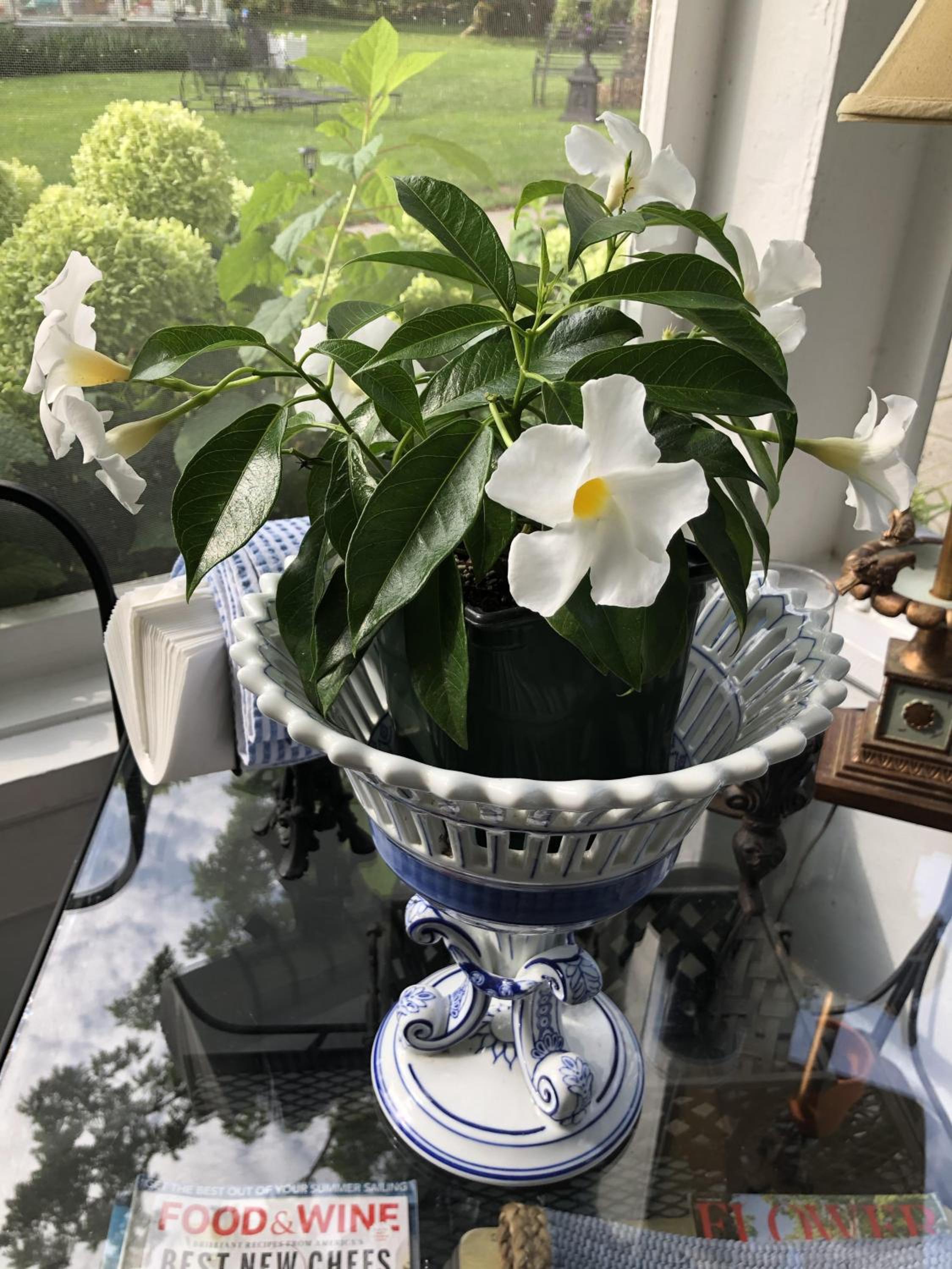 Marion Vacations - Silvershell Inn - Property Image 89