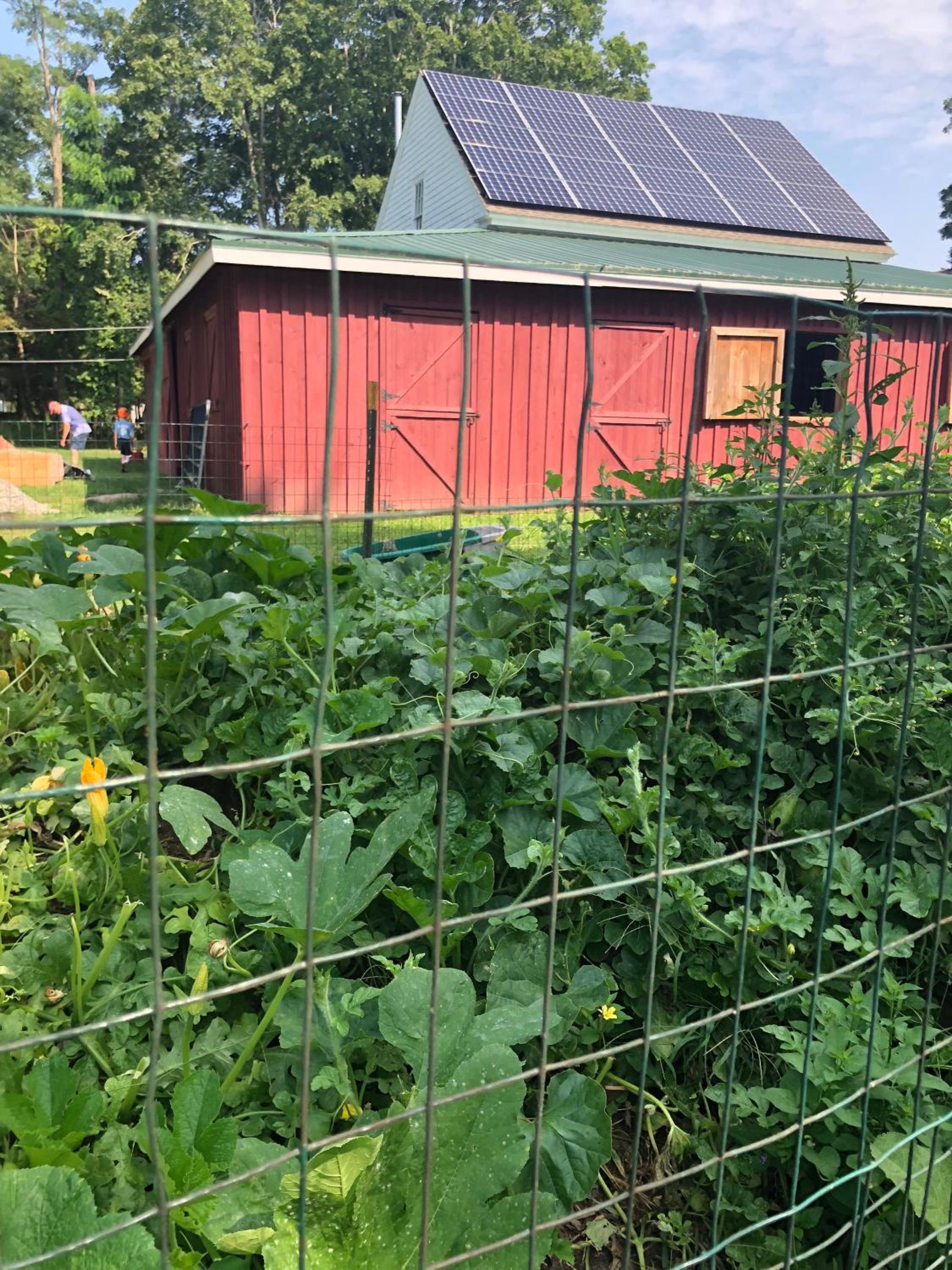 Marion Vacations - Silvershell Inn - Property Image 66