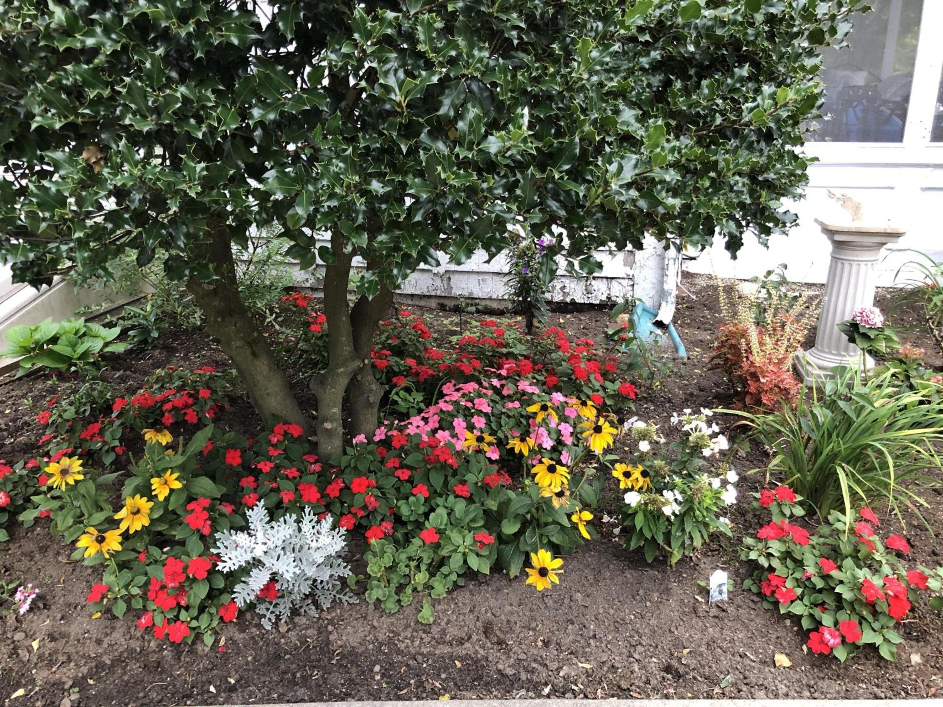 Marion Vacations - Silvershell Inn - Property Image 58