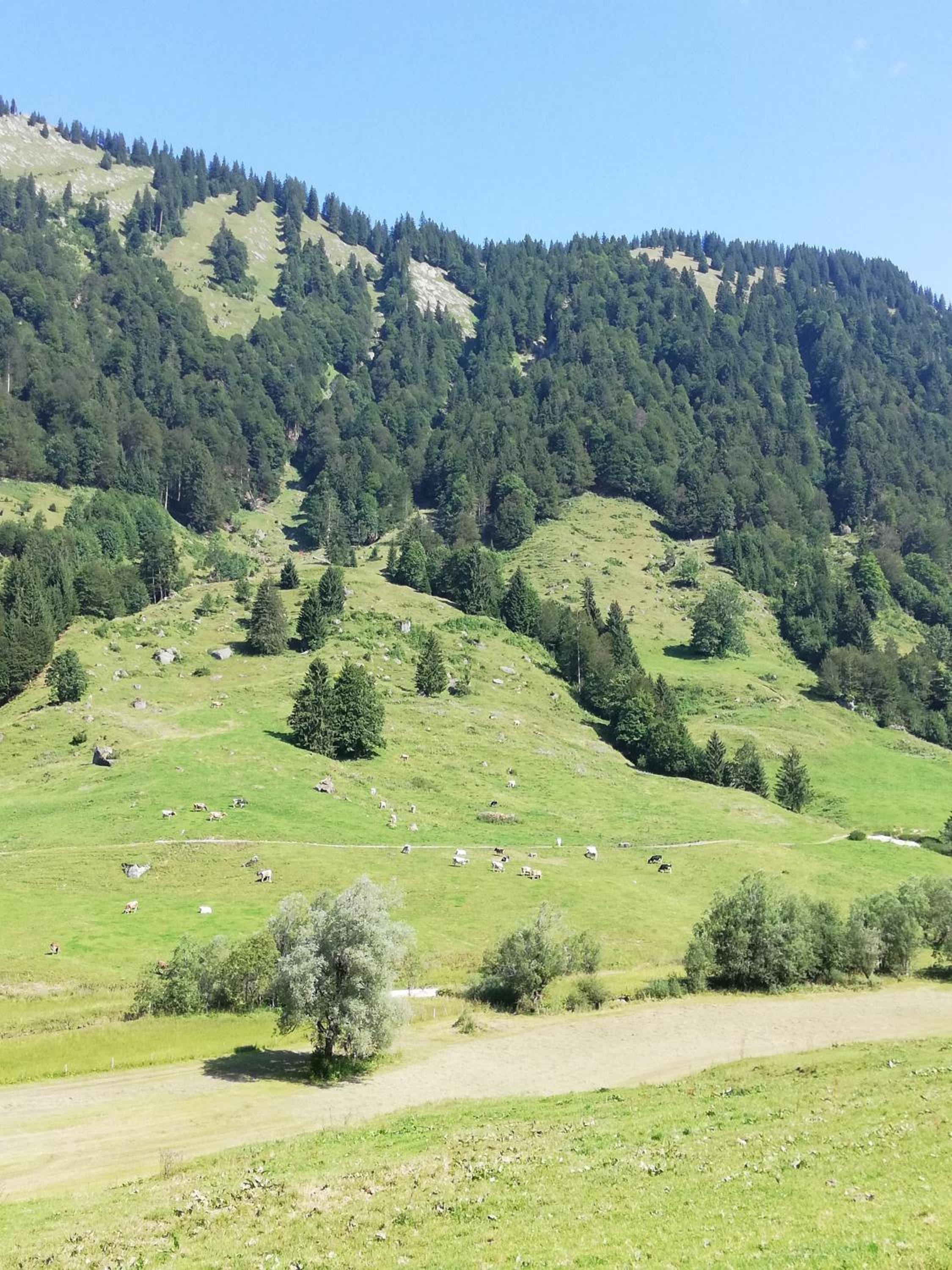 Ferienwohnung Auszeit