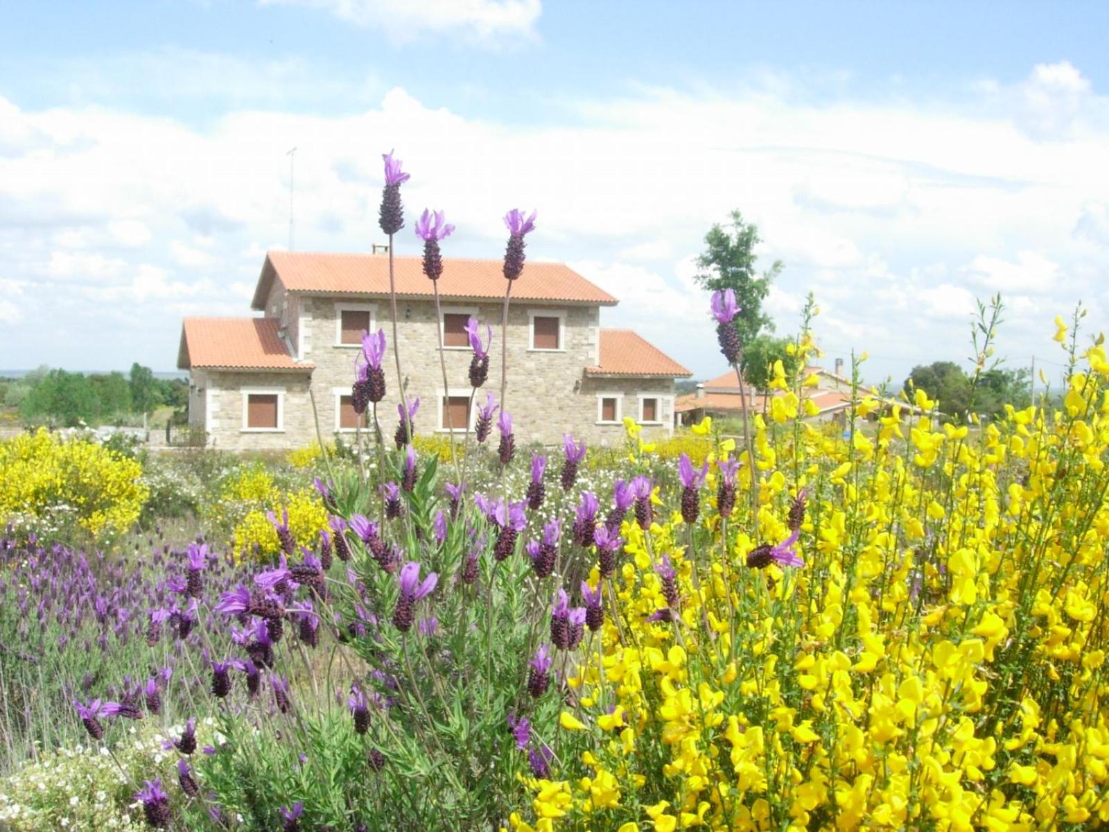 Casas Rurales Arribes Durii