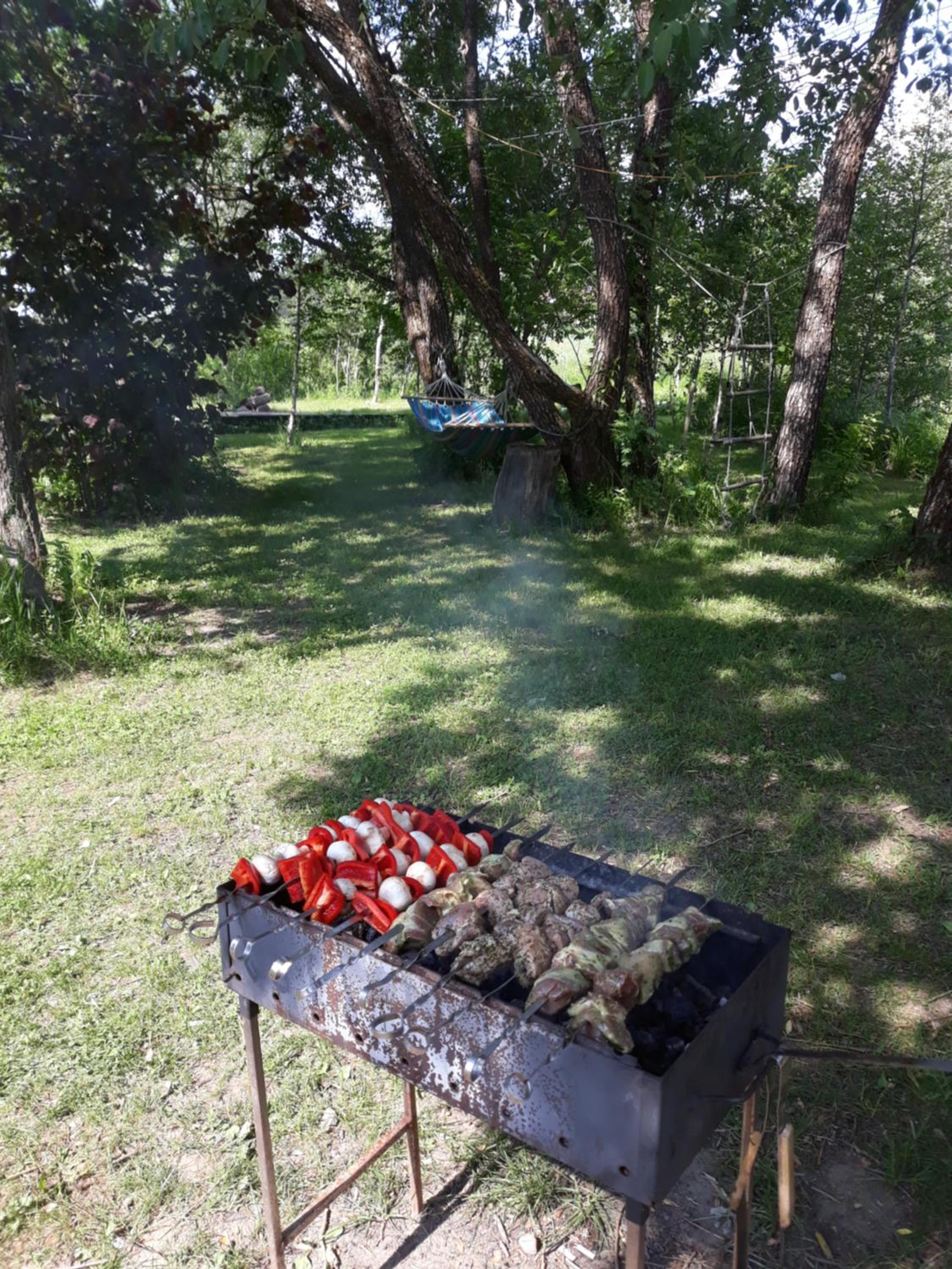 Photo 6