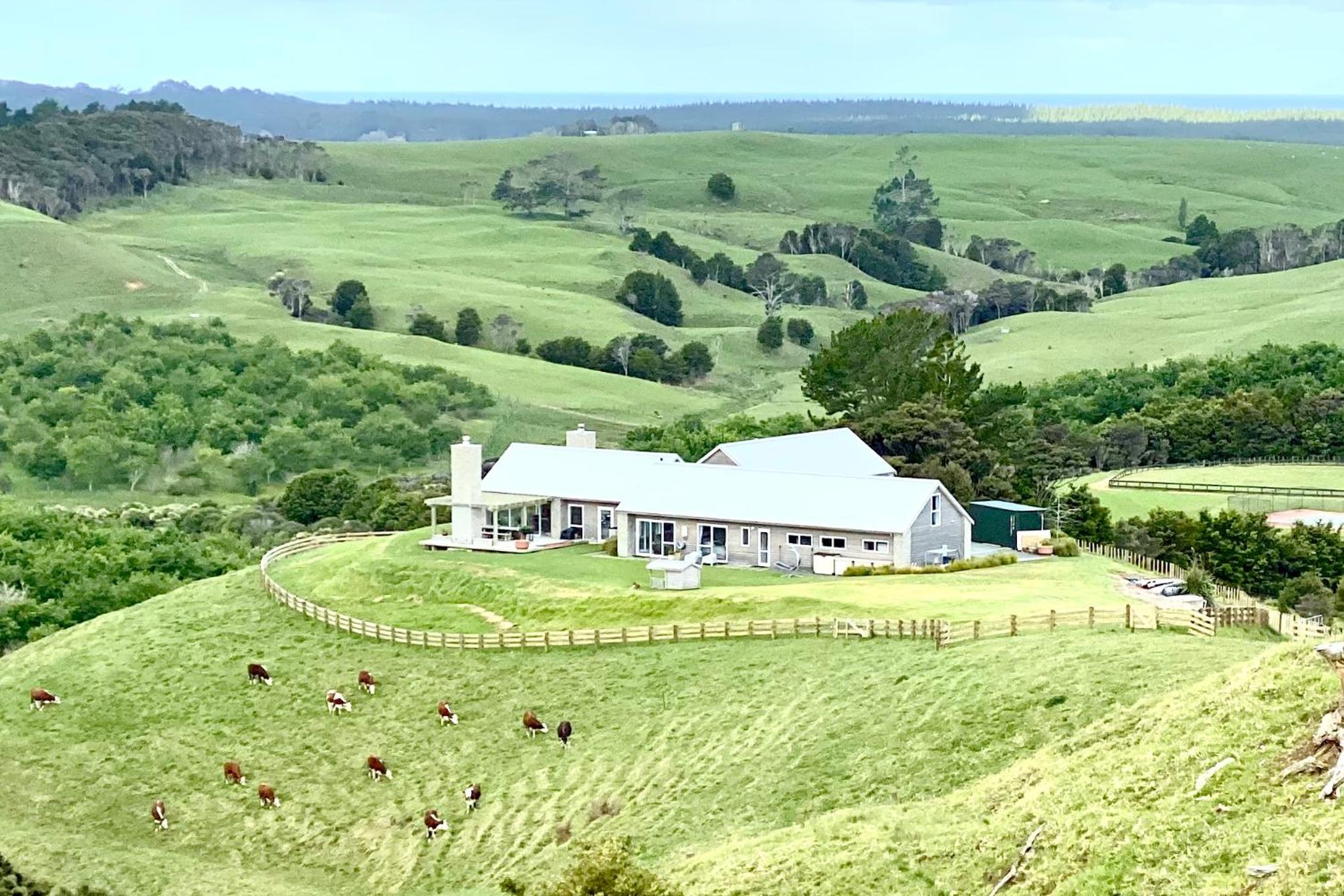 Kauri Glen BnB view 5