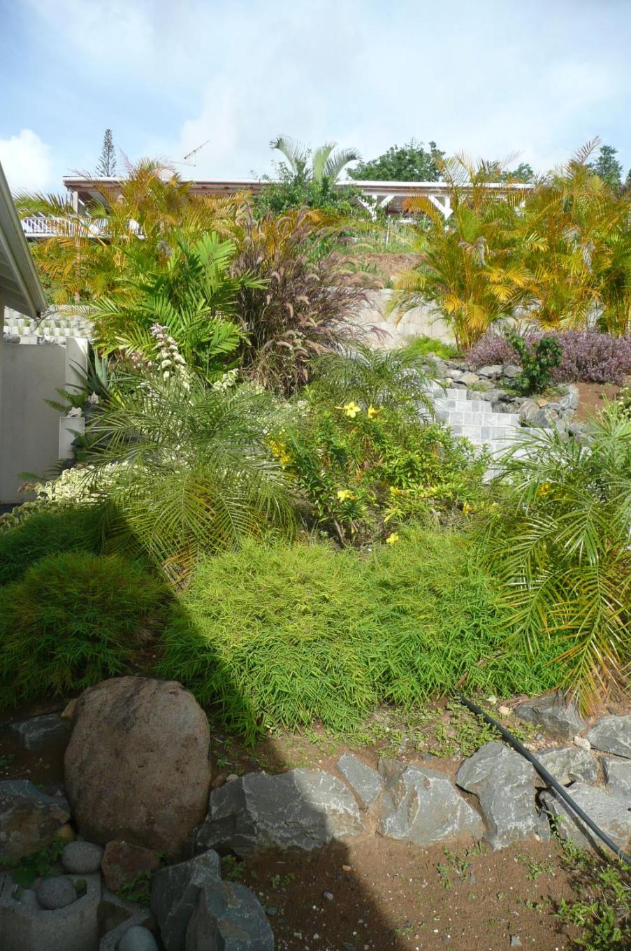 Douceurs Caraïbes, Gîte Alpinia.