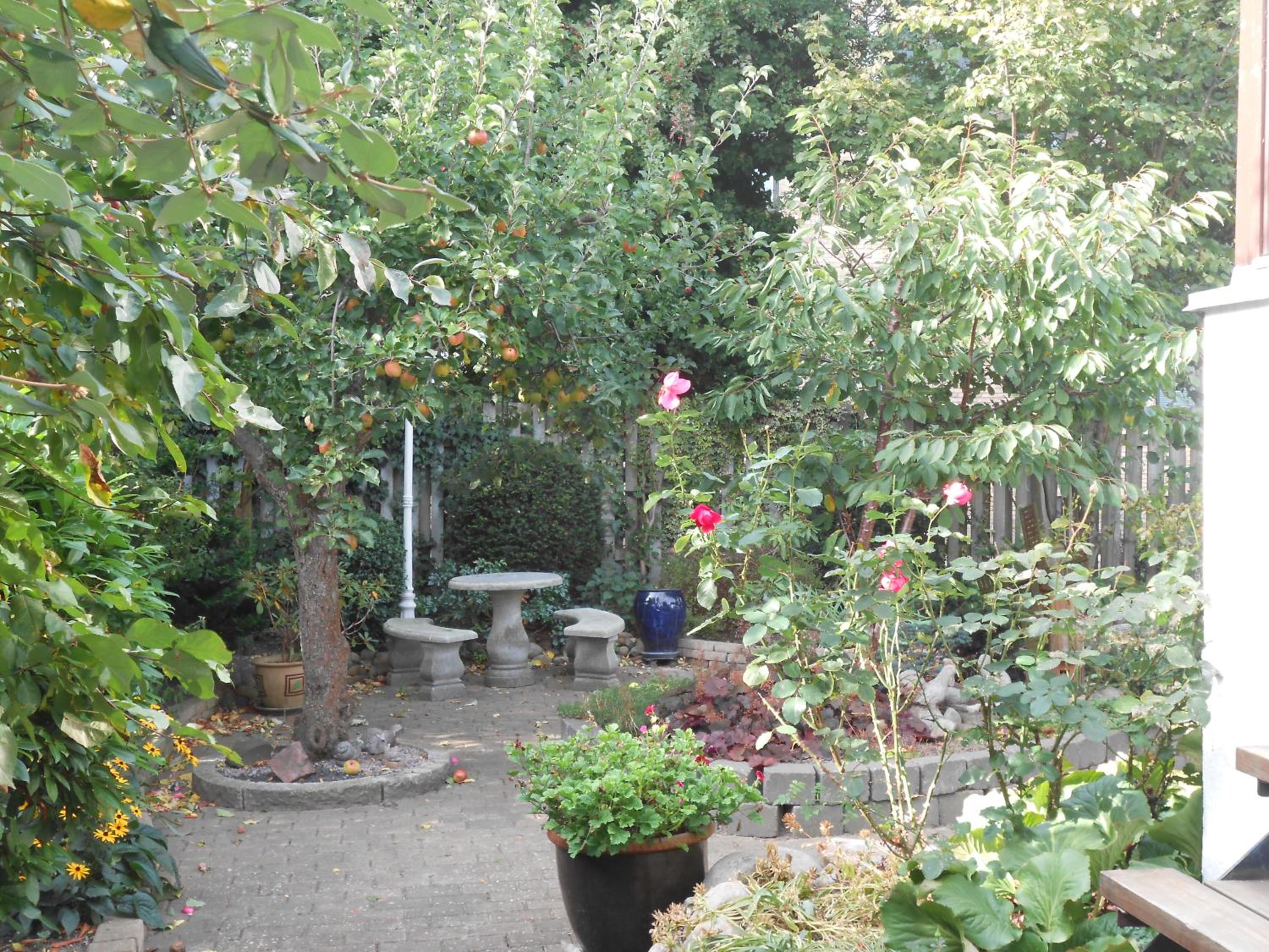 Photo 13