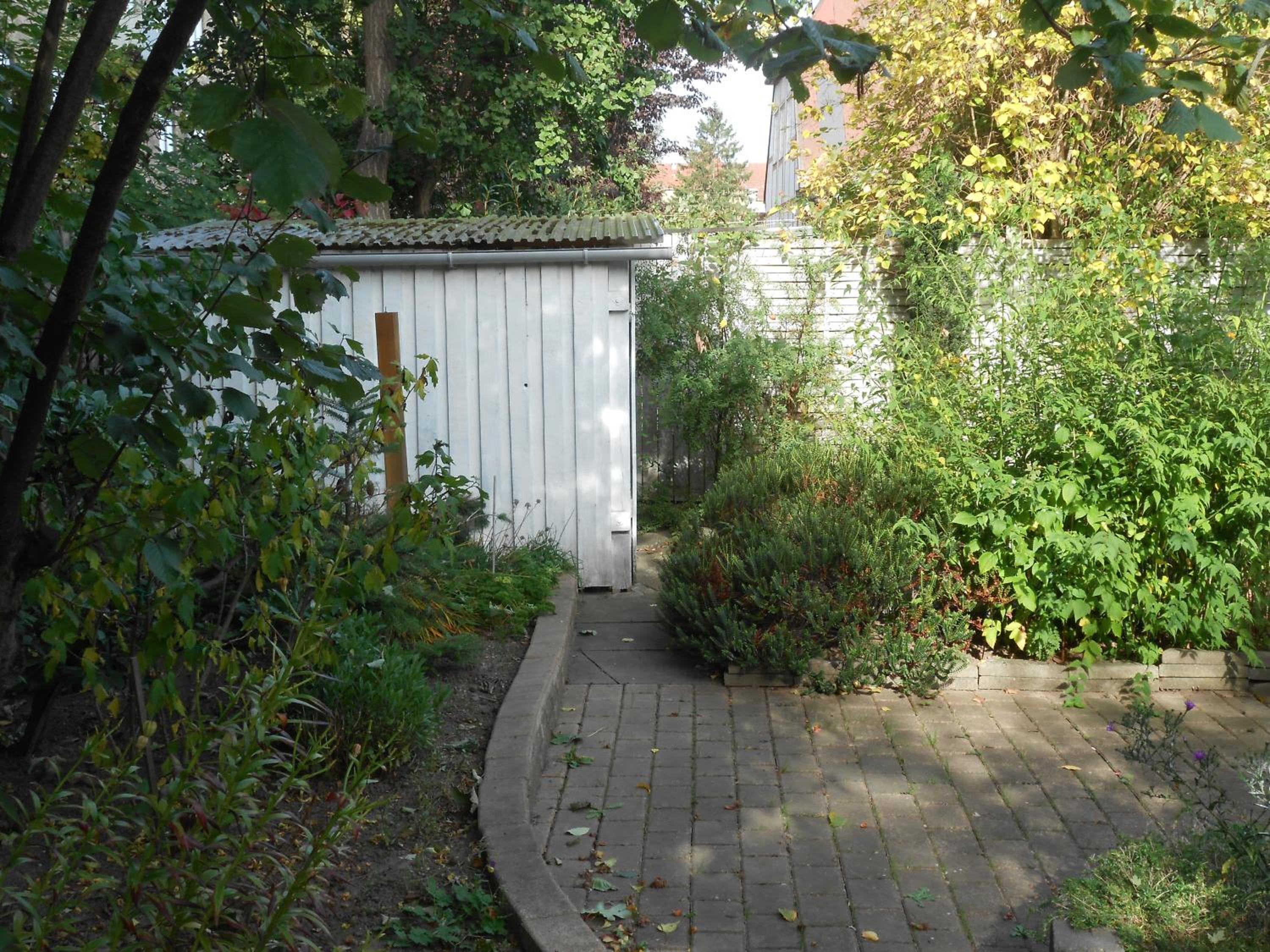 Photo 17