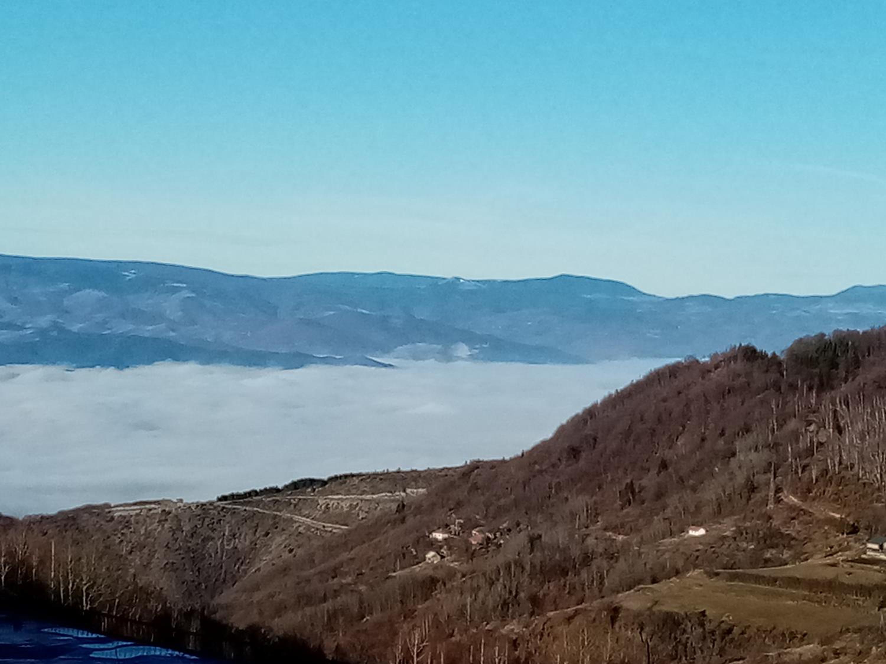 Pčelica L15 Milmari view 2