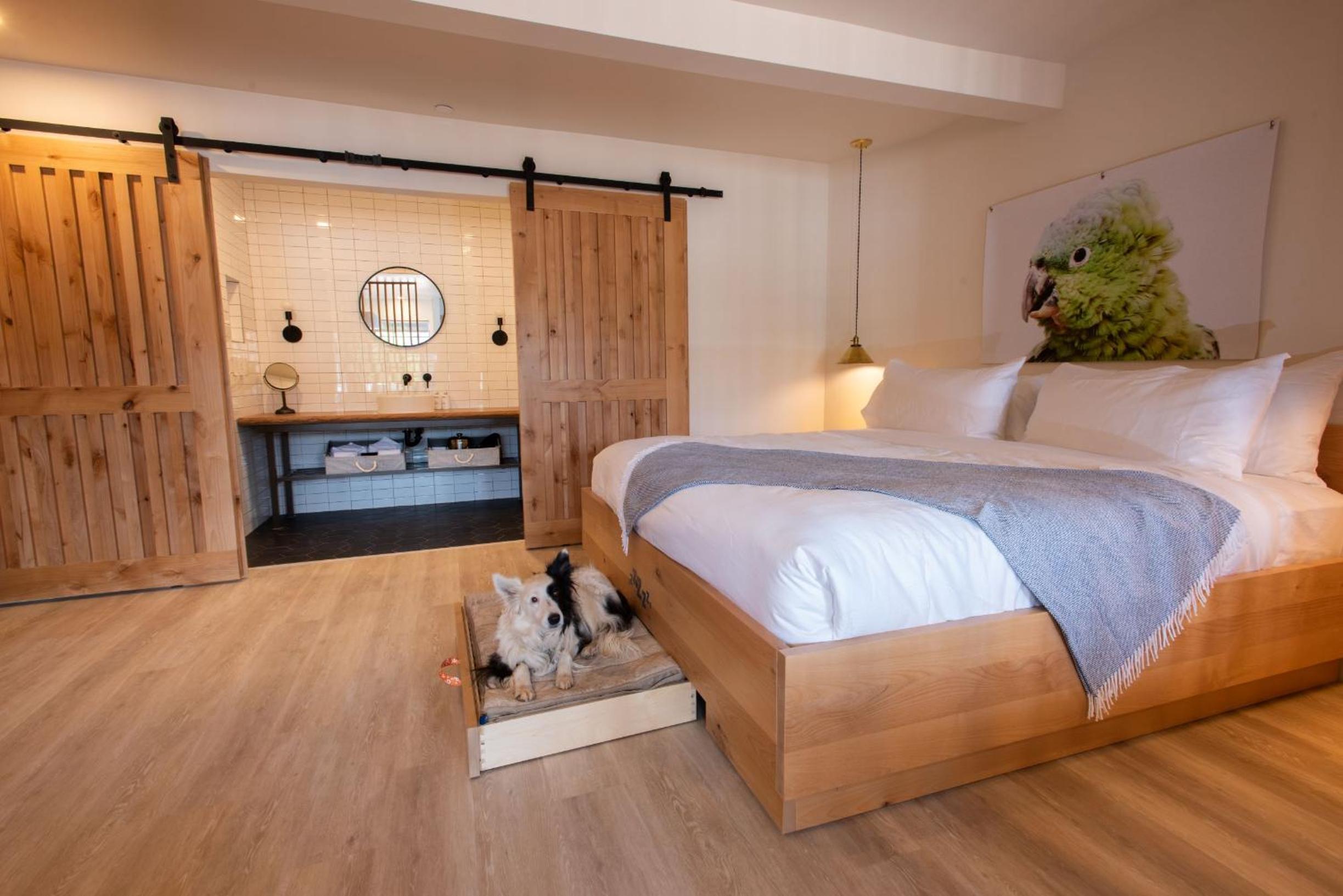 Kanab Vacations - Best Friends Roadhouse and Mercantile - Property Image 21