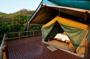 Amafu Forest Lodge