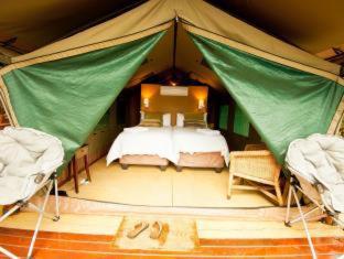 Amafu Forest Lodge