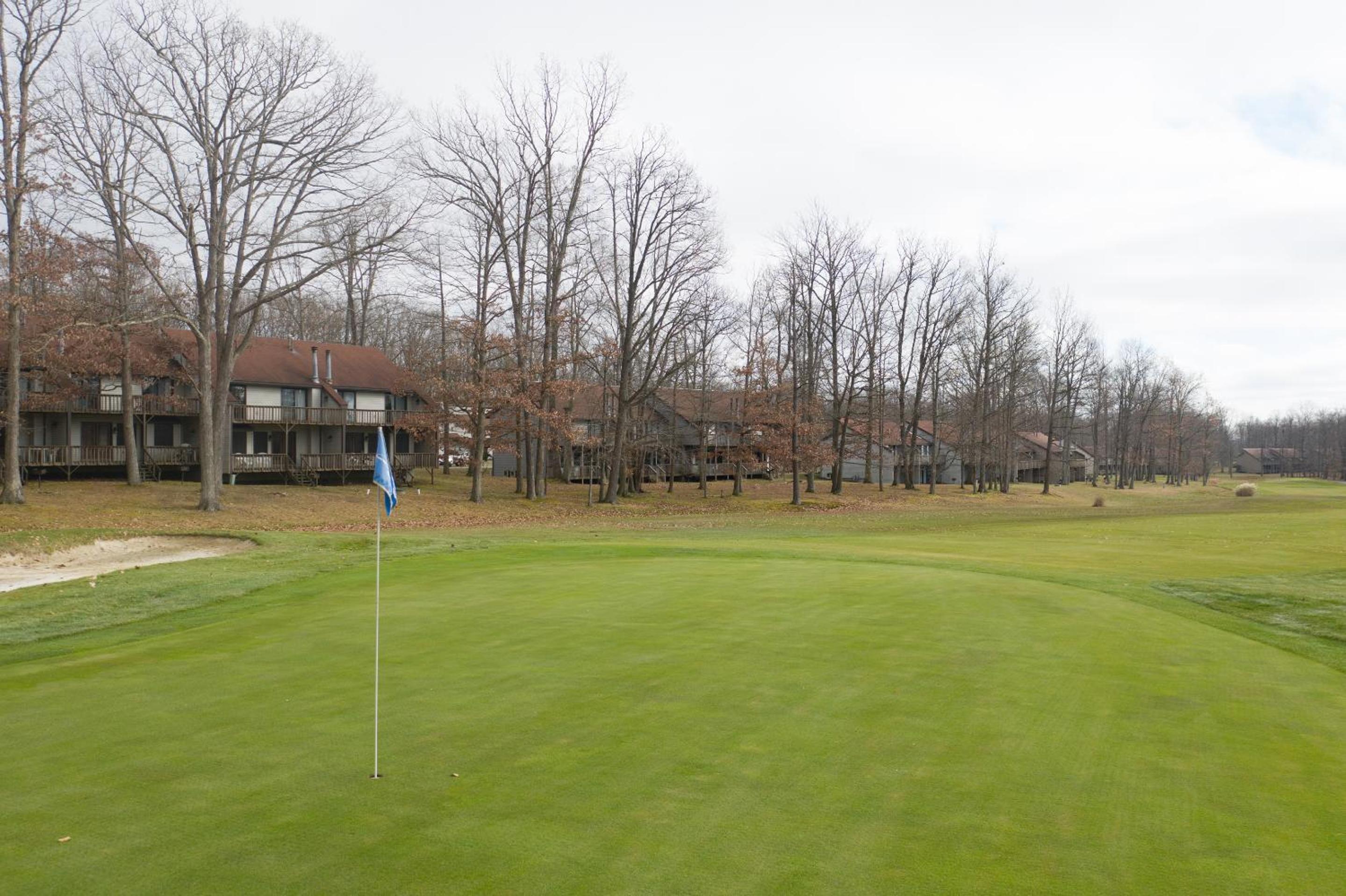 Crown Resorts at Silverwoods - Property Image 5