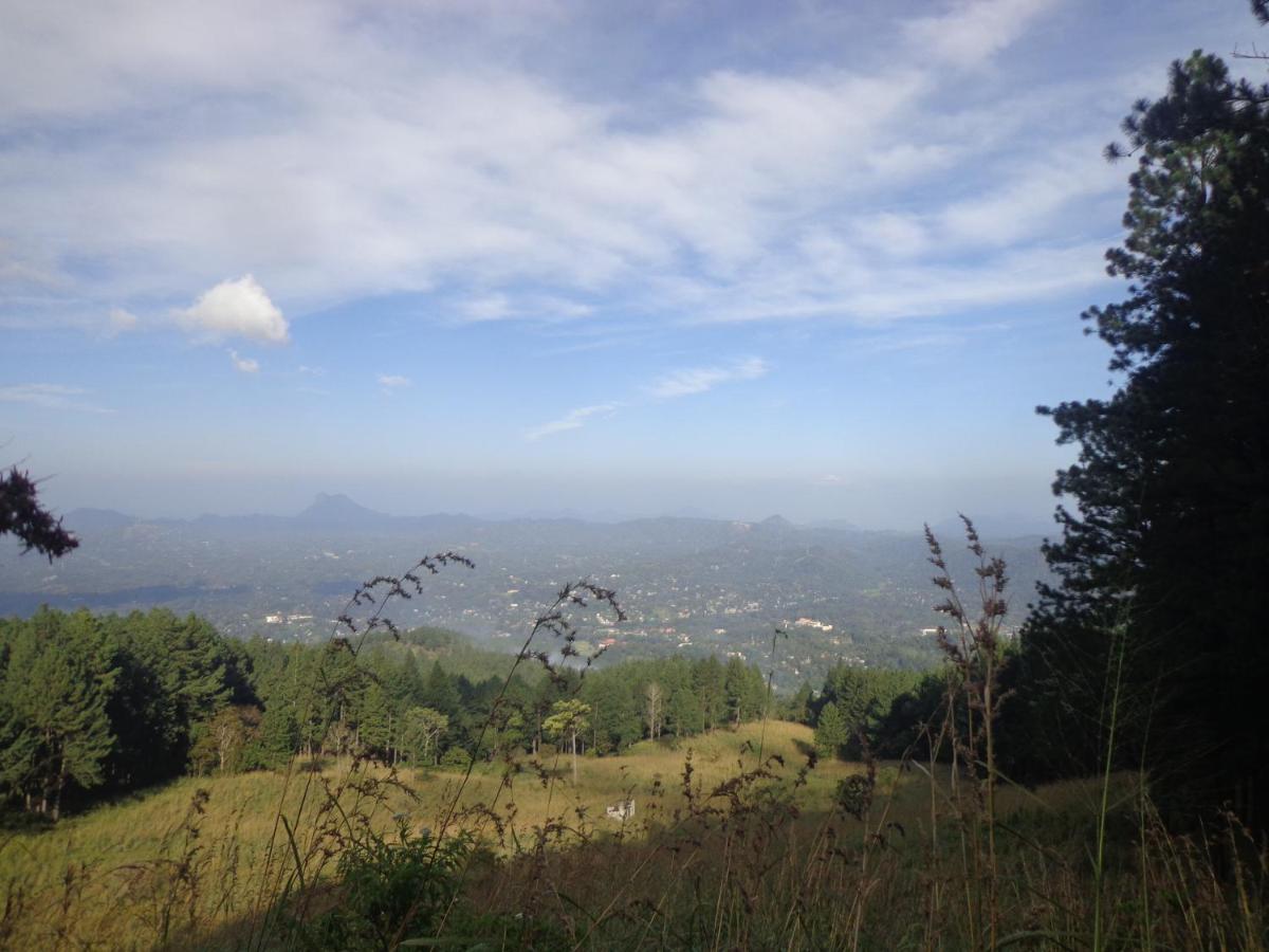 Nisha homestay inn view 2