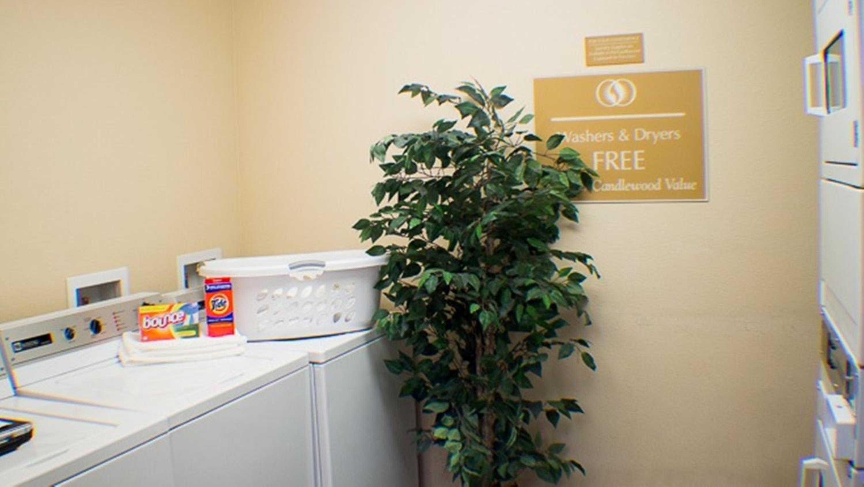Jacksonville Vacations - Candlewood Suites Jacksonville, an IHG Hotel - Property Image 2