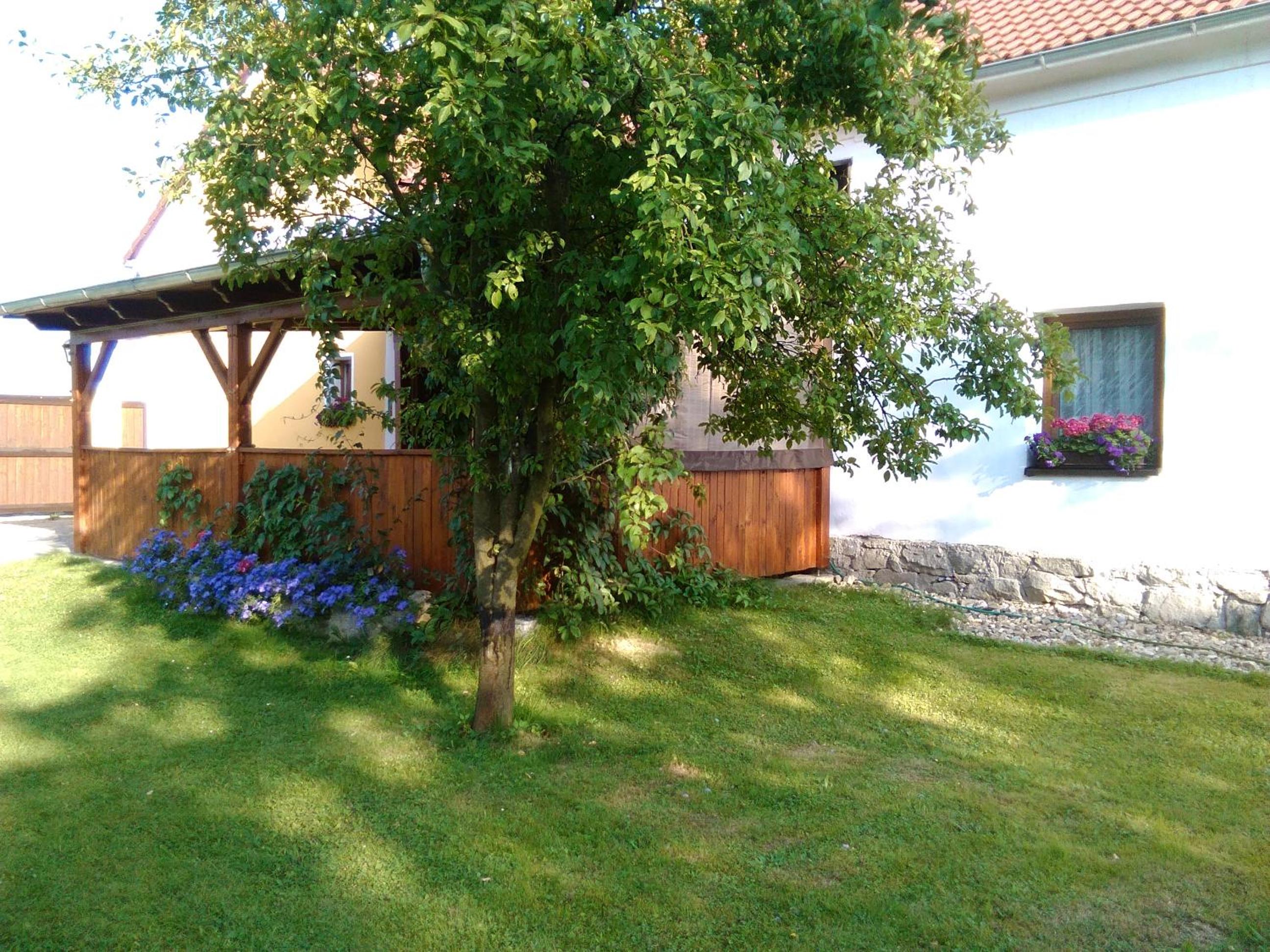 Photo 25