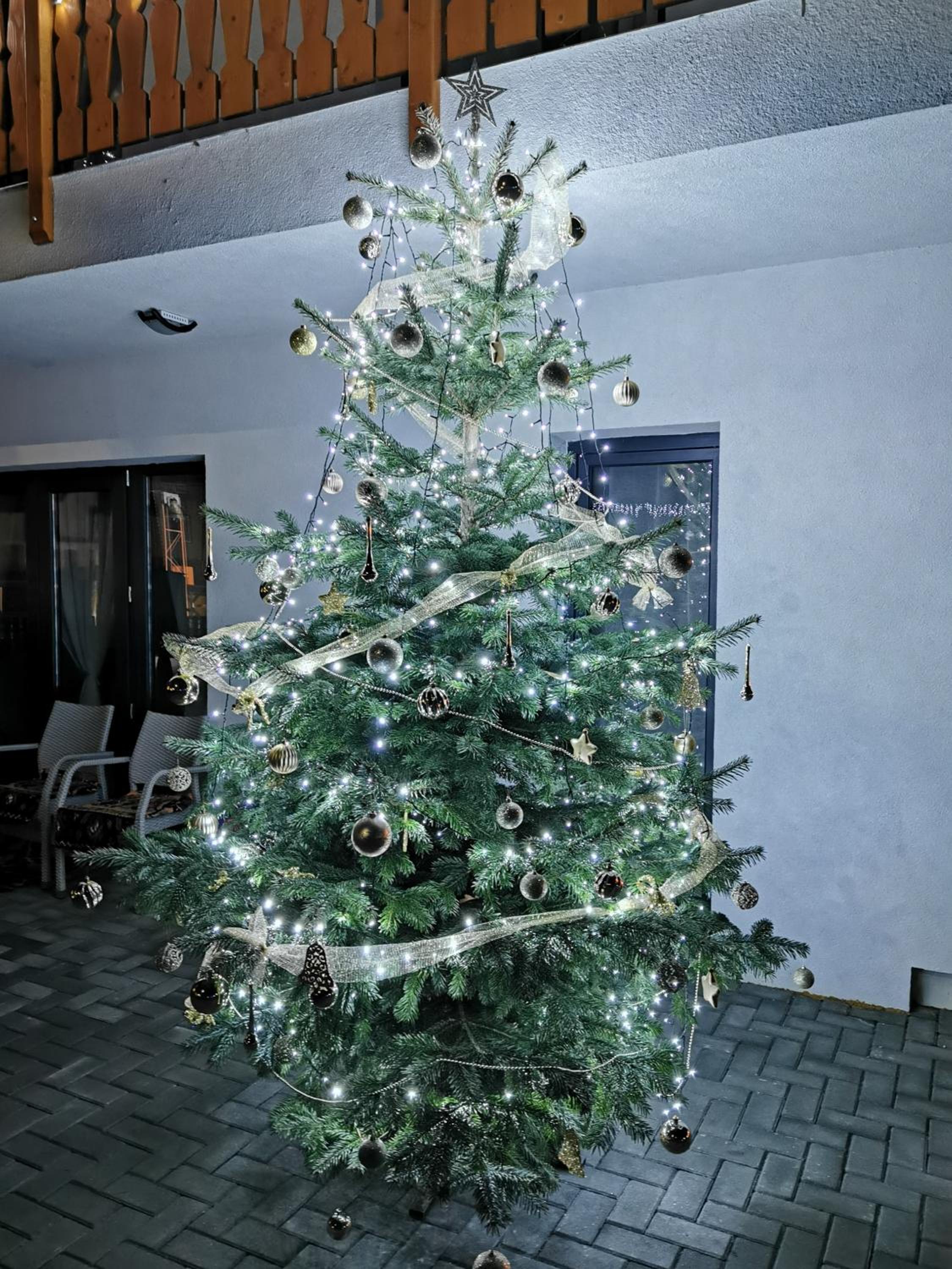 Photo 25