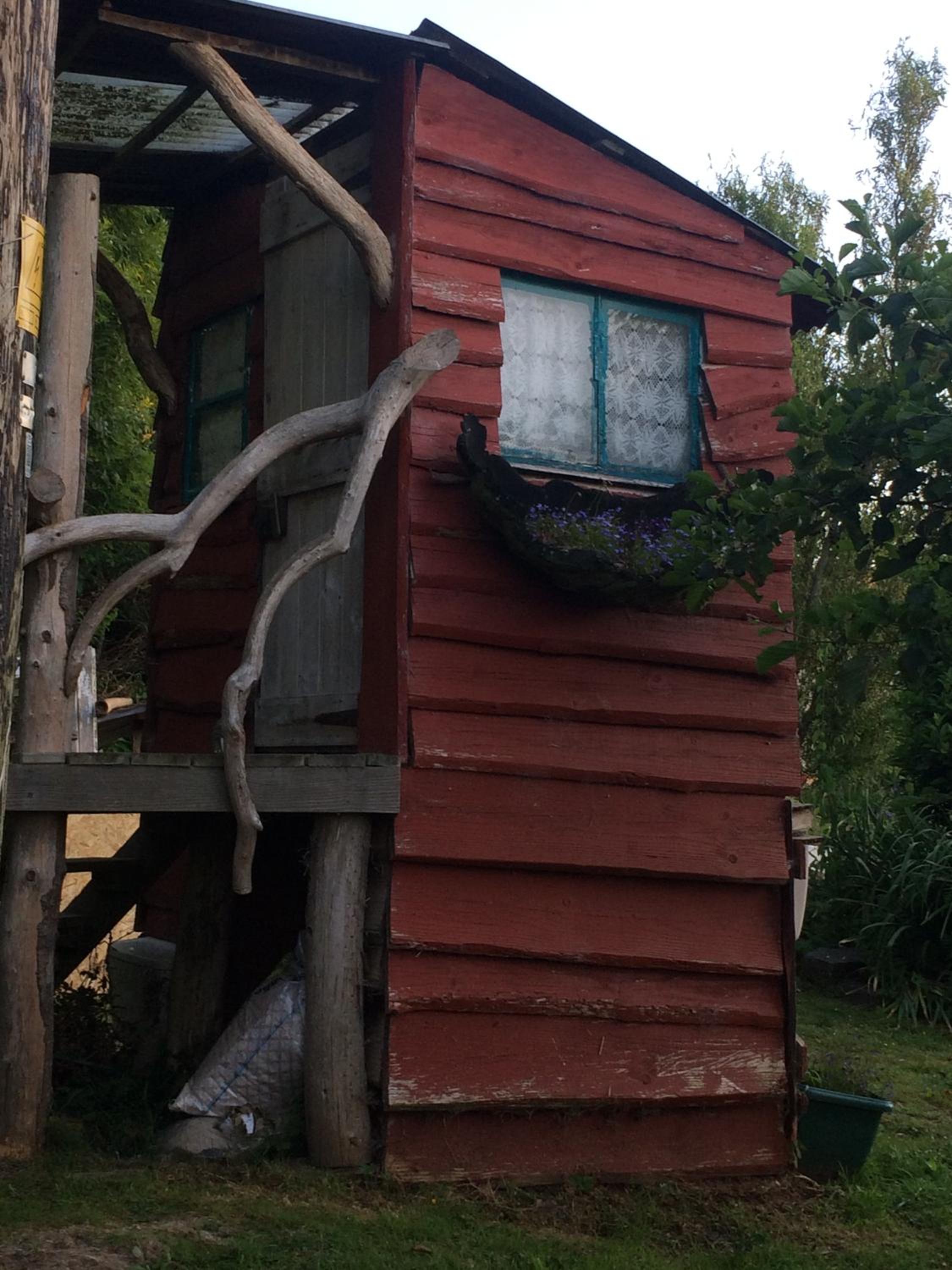 Photo 6