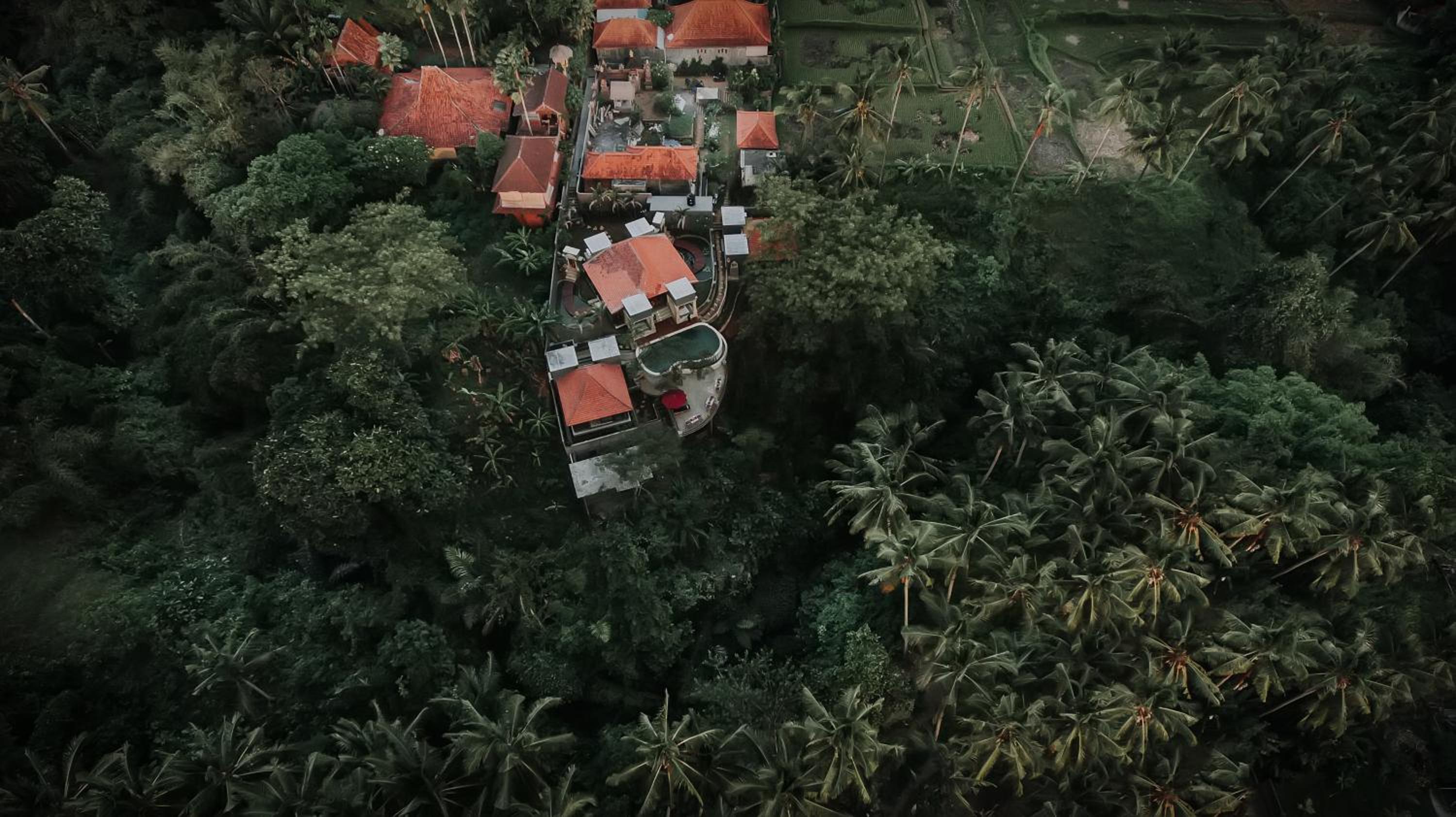 Taman Indra Boutique Villa Ubud view 5