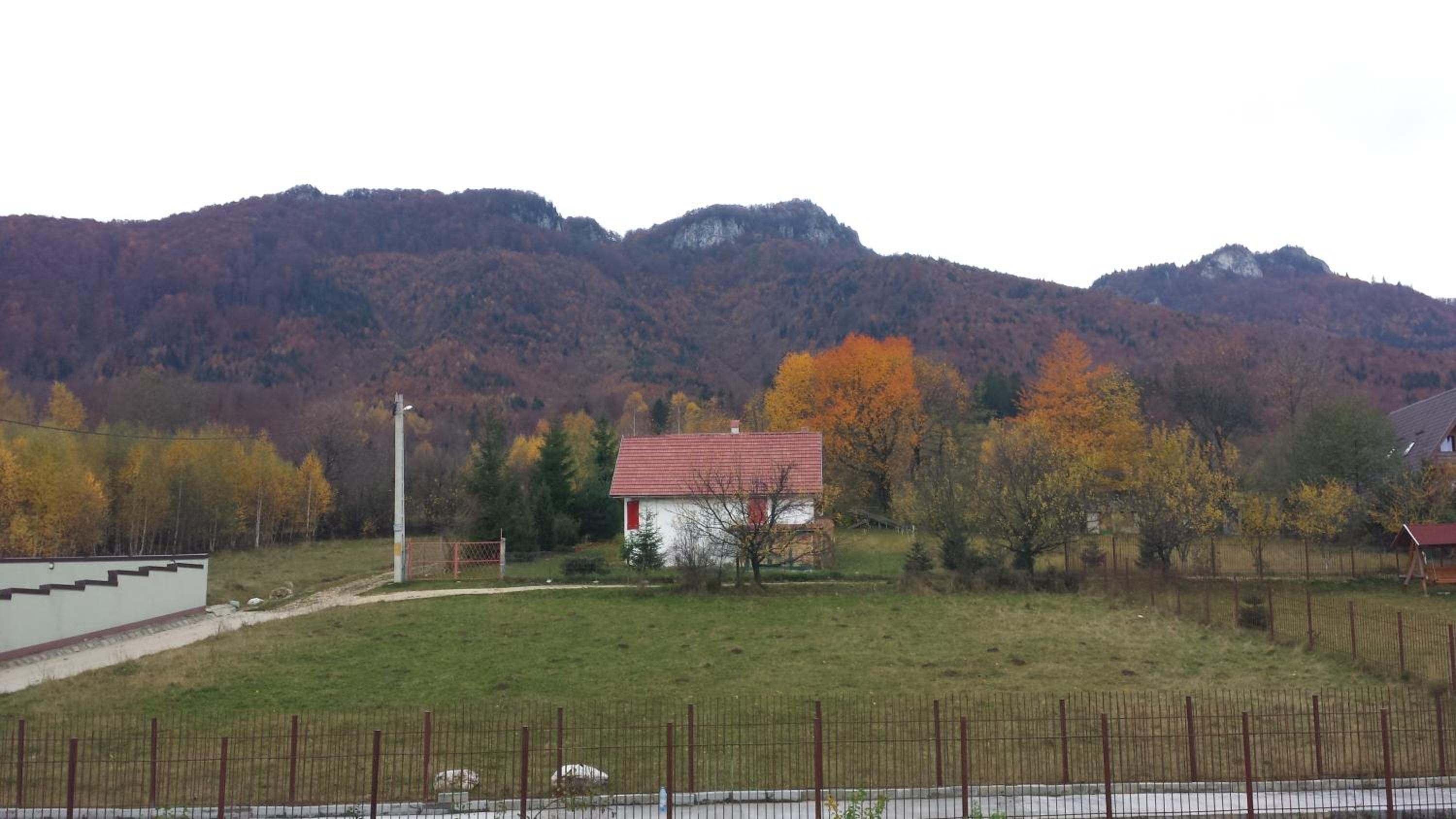 Photo 42