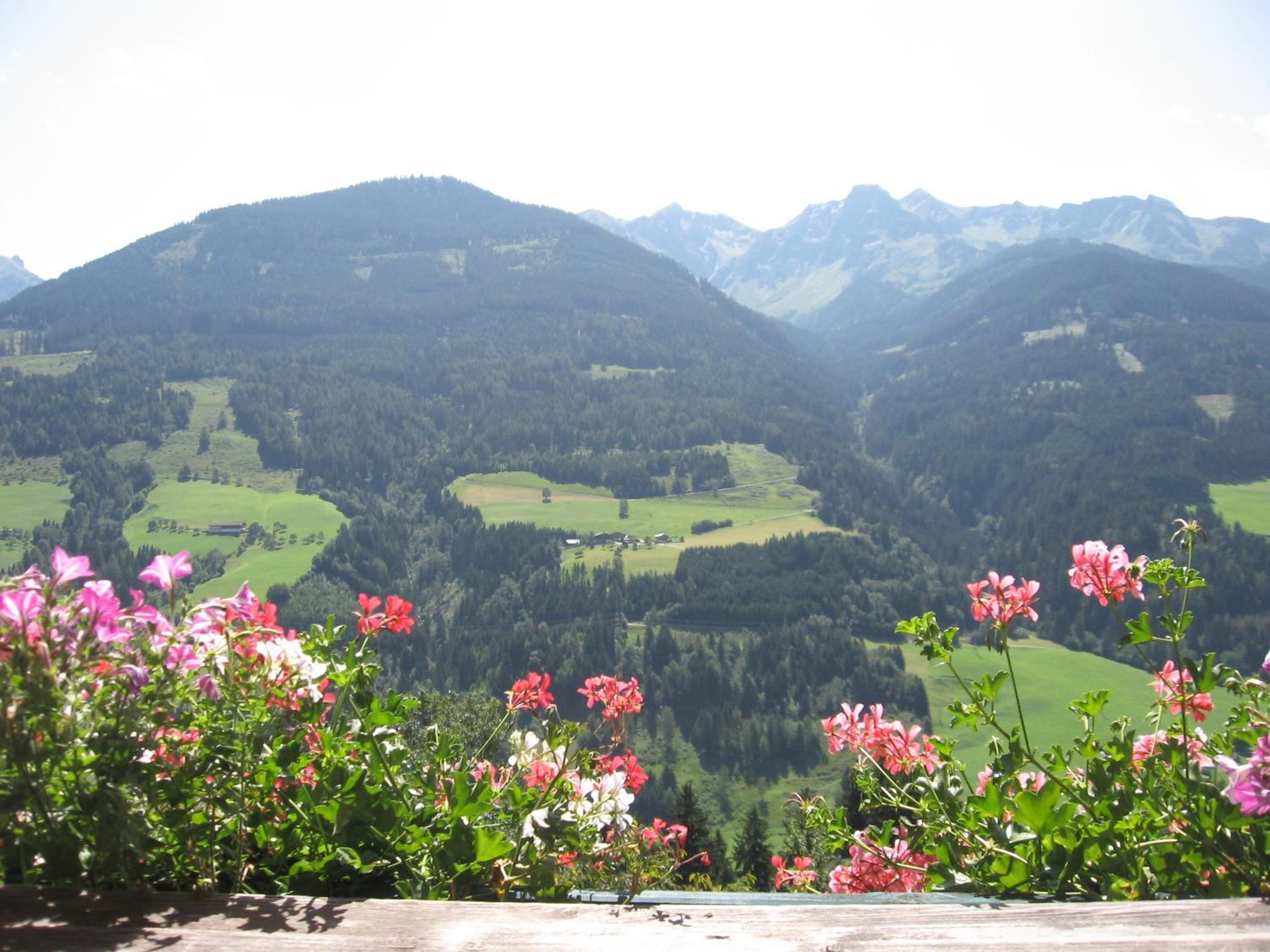 Bergbauernhof Untermoos