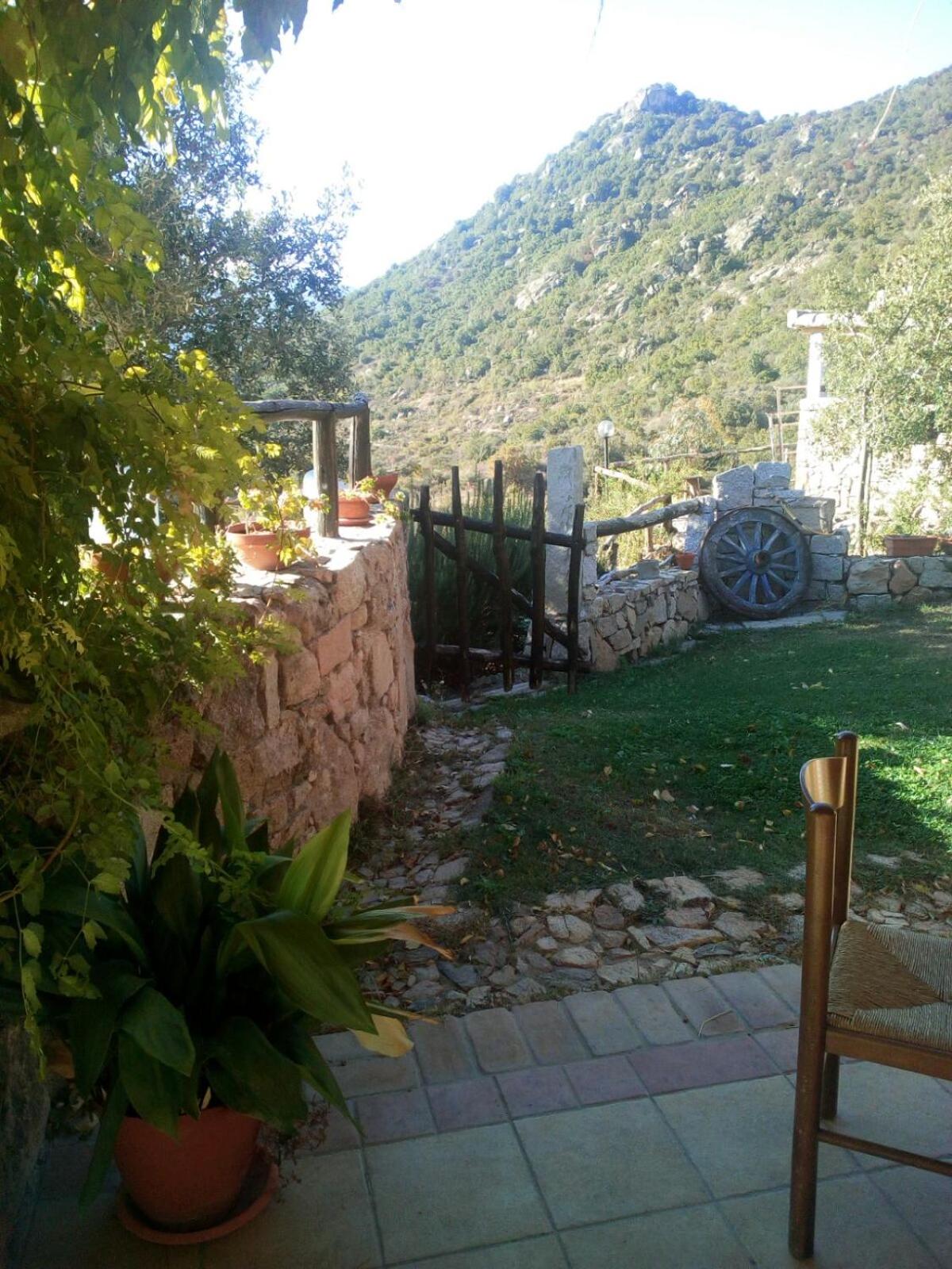Photo 48