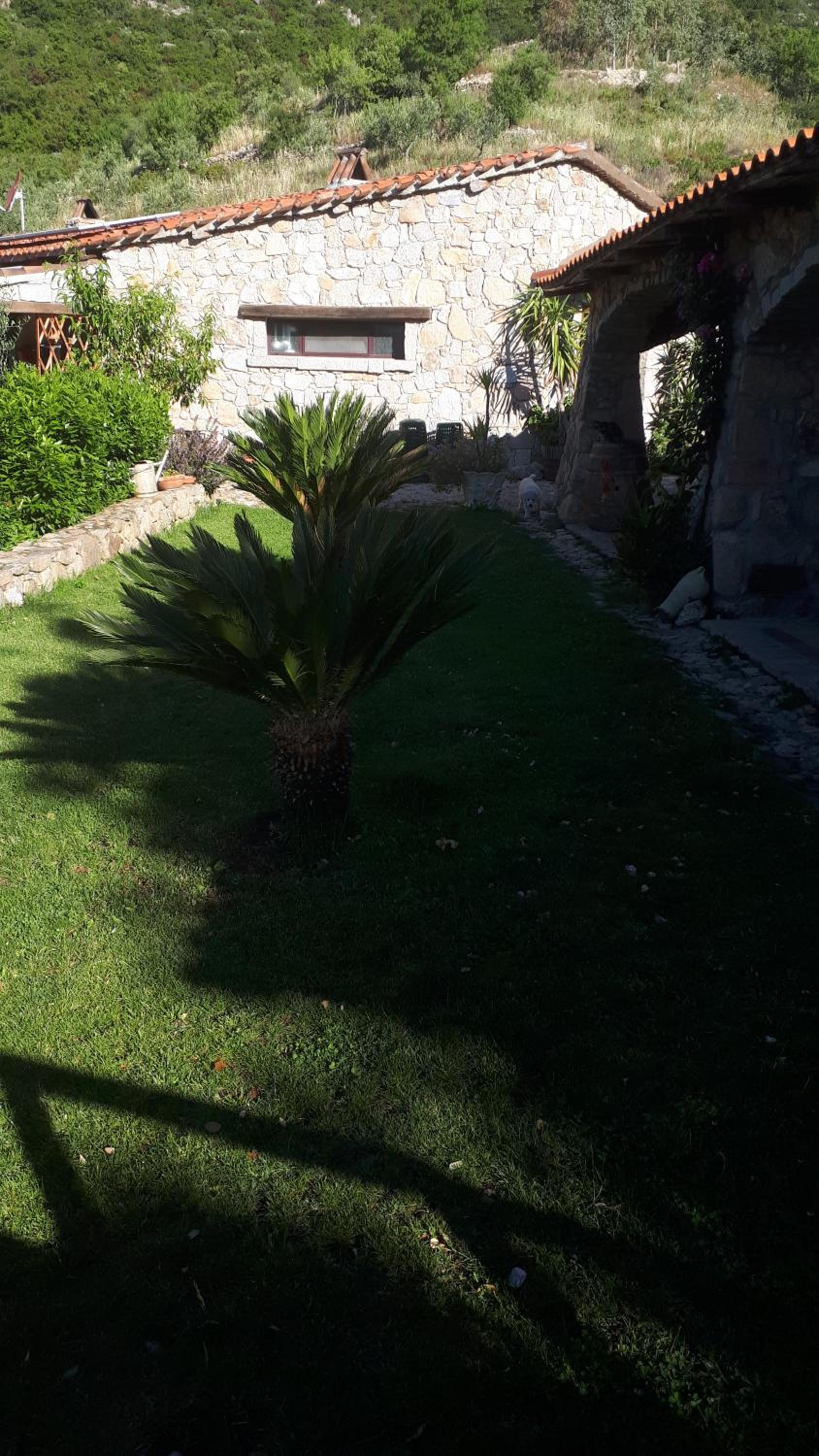 Photo 47