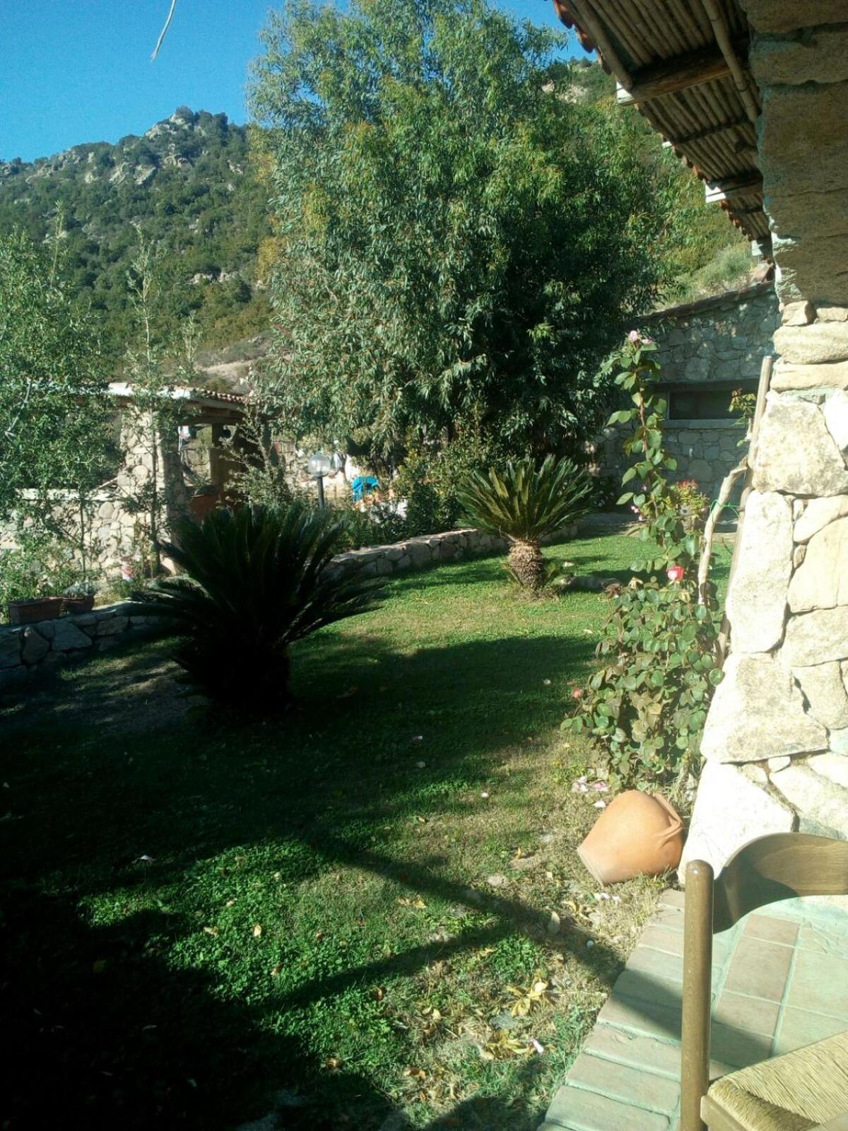 Photo 46