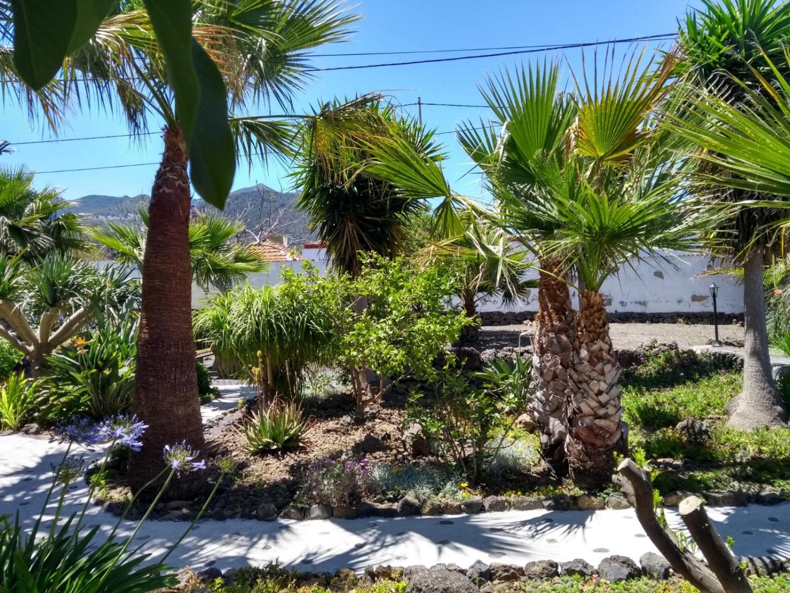 Finca Primavera view 3