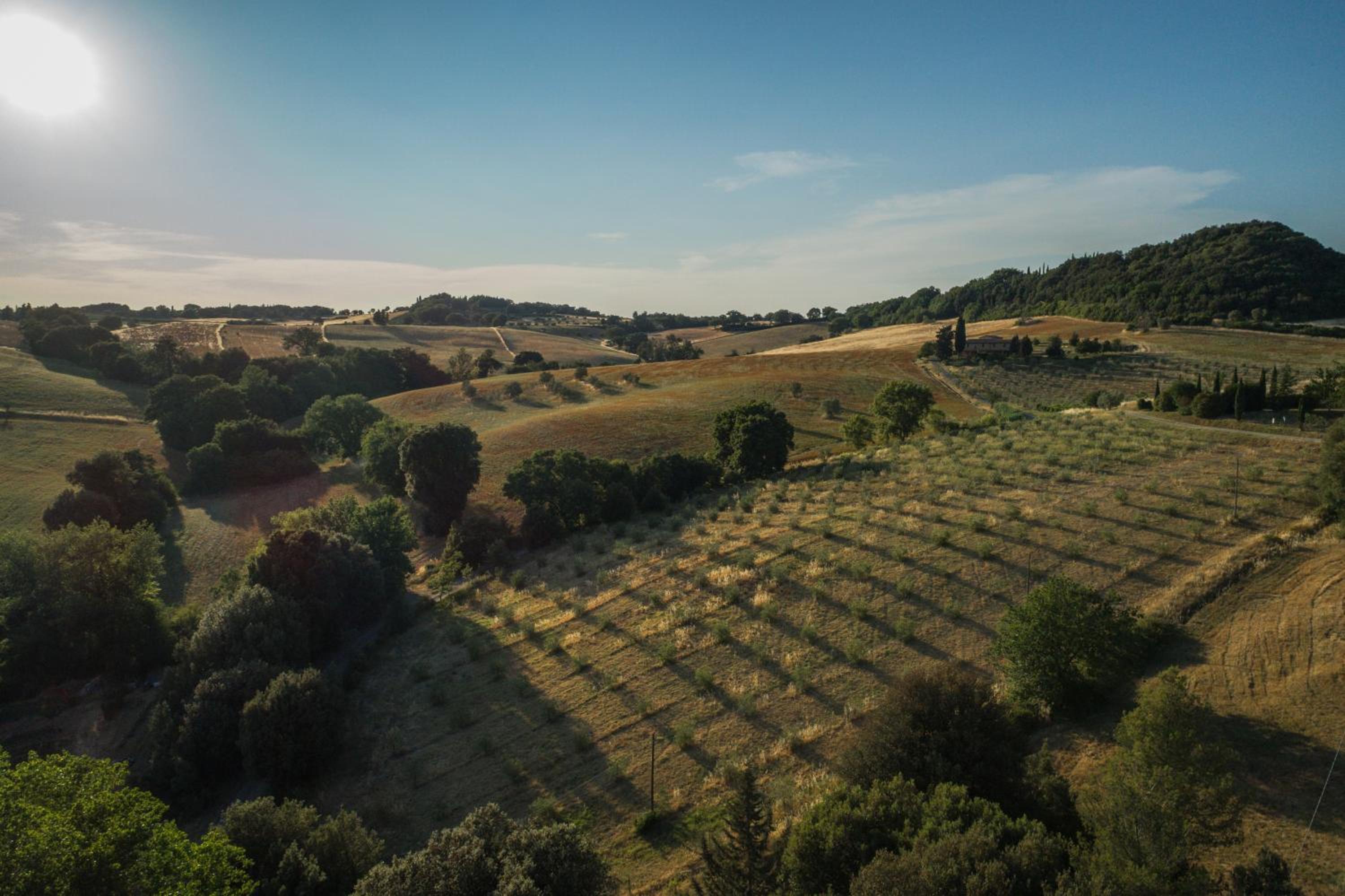 Agriturismo San Carlo view 5
