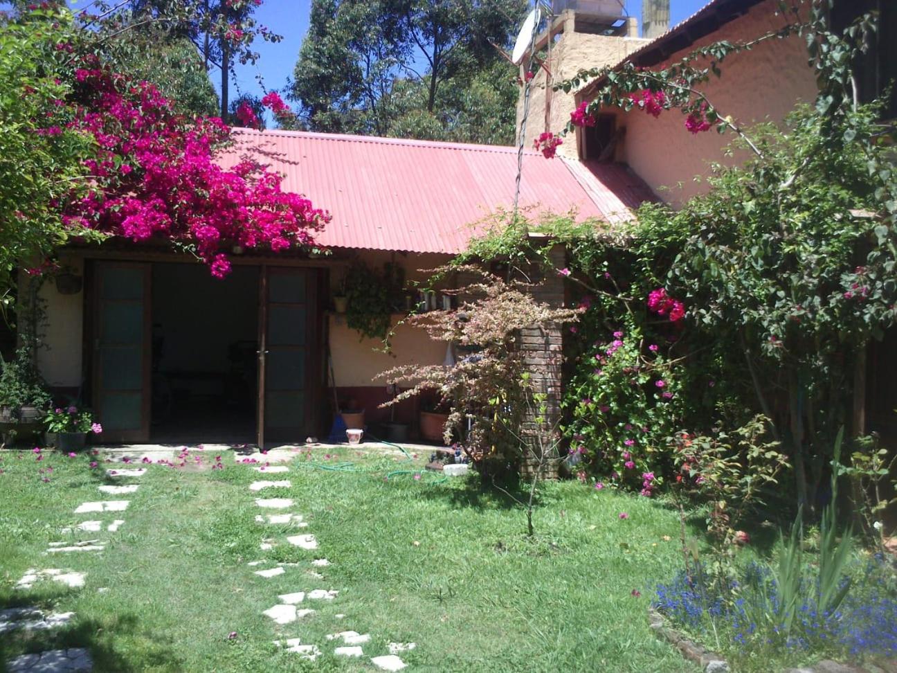 Photo 7