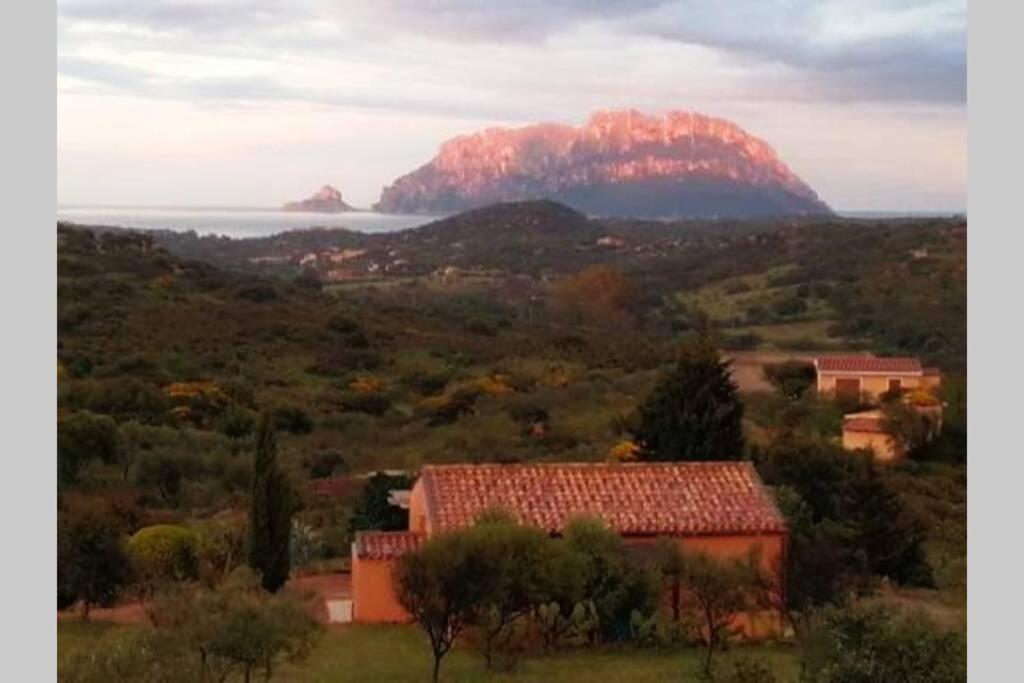 MARE e CAMPAGNA view 2