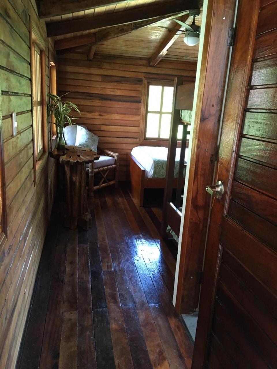 Photo 32