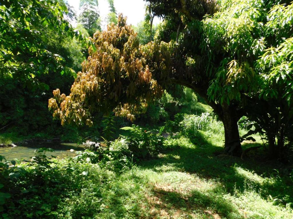 Villa del Rio and Hacienda Monte Rey access view 2