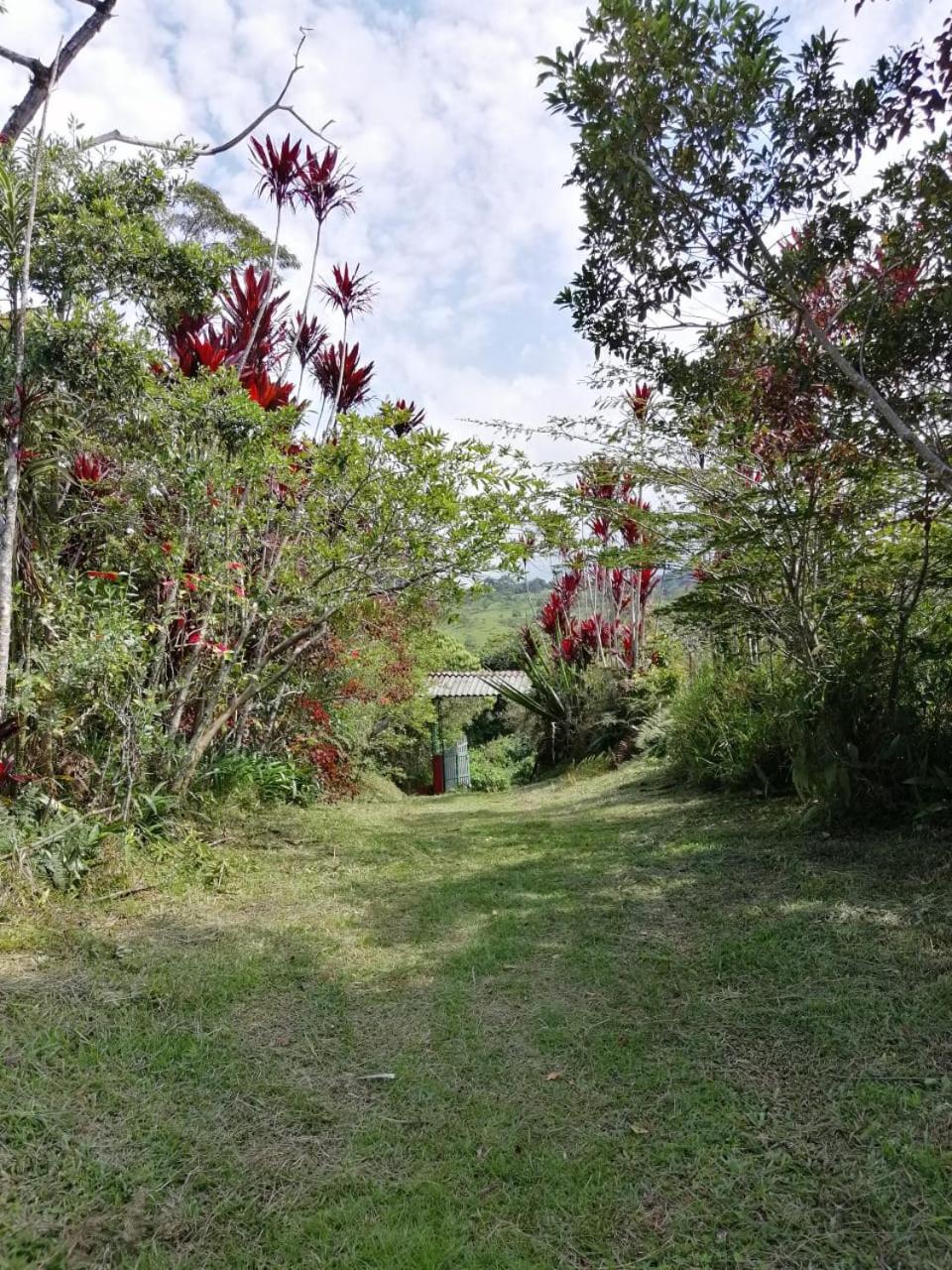 Cabaña Acogedora en Gámbita Santander