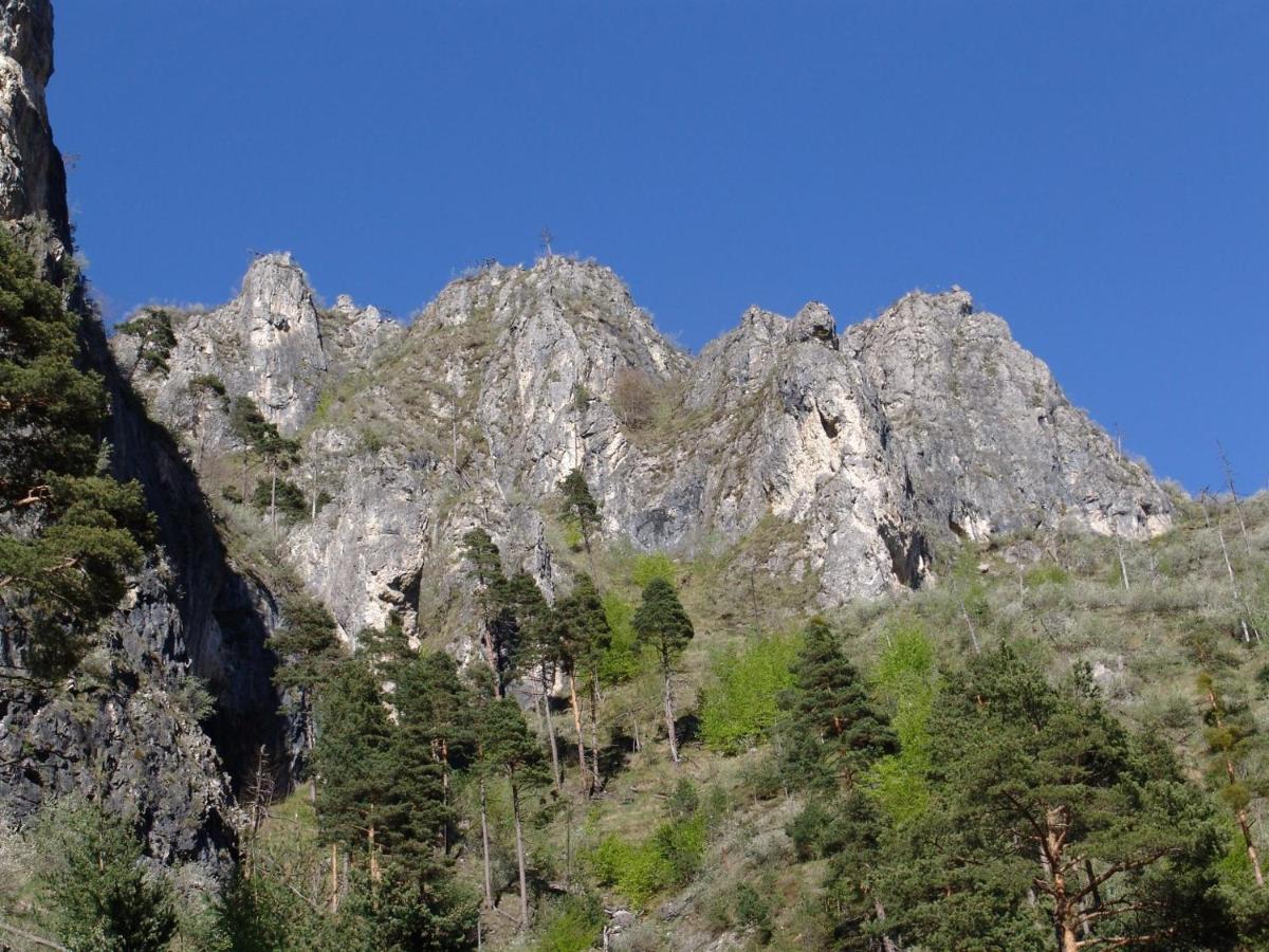 Photo 40