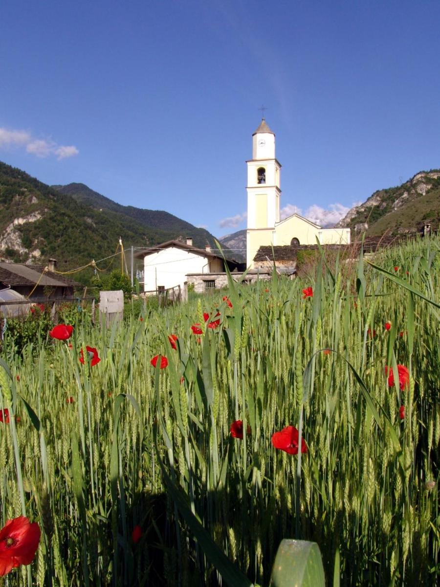 Photo 41
