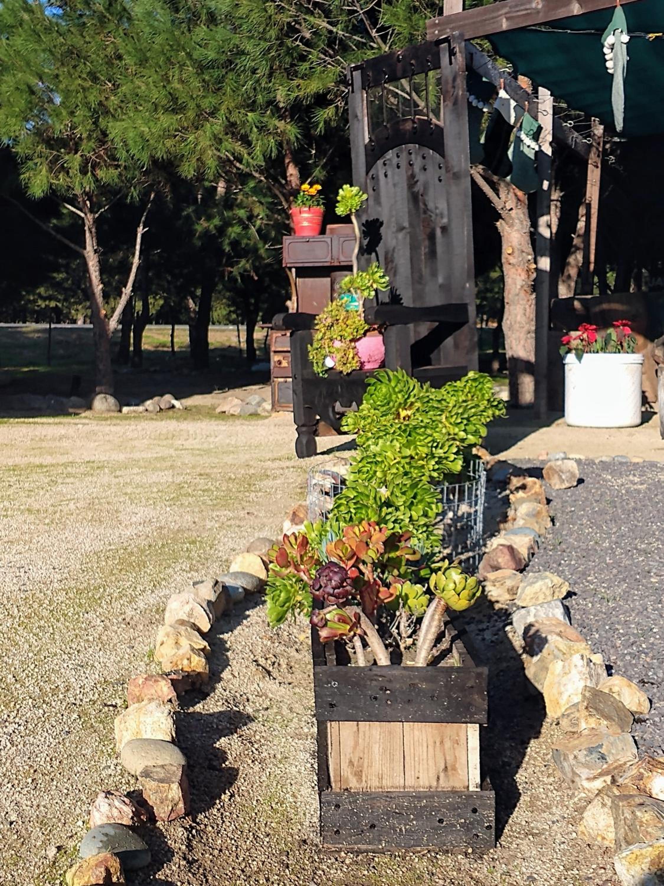 Fernabella's Lodge