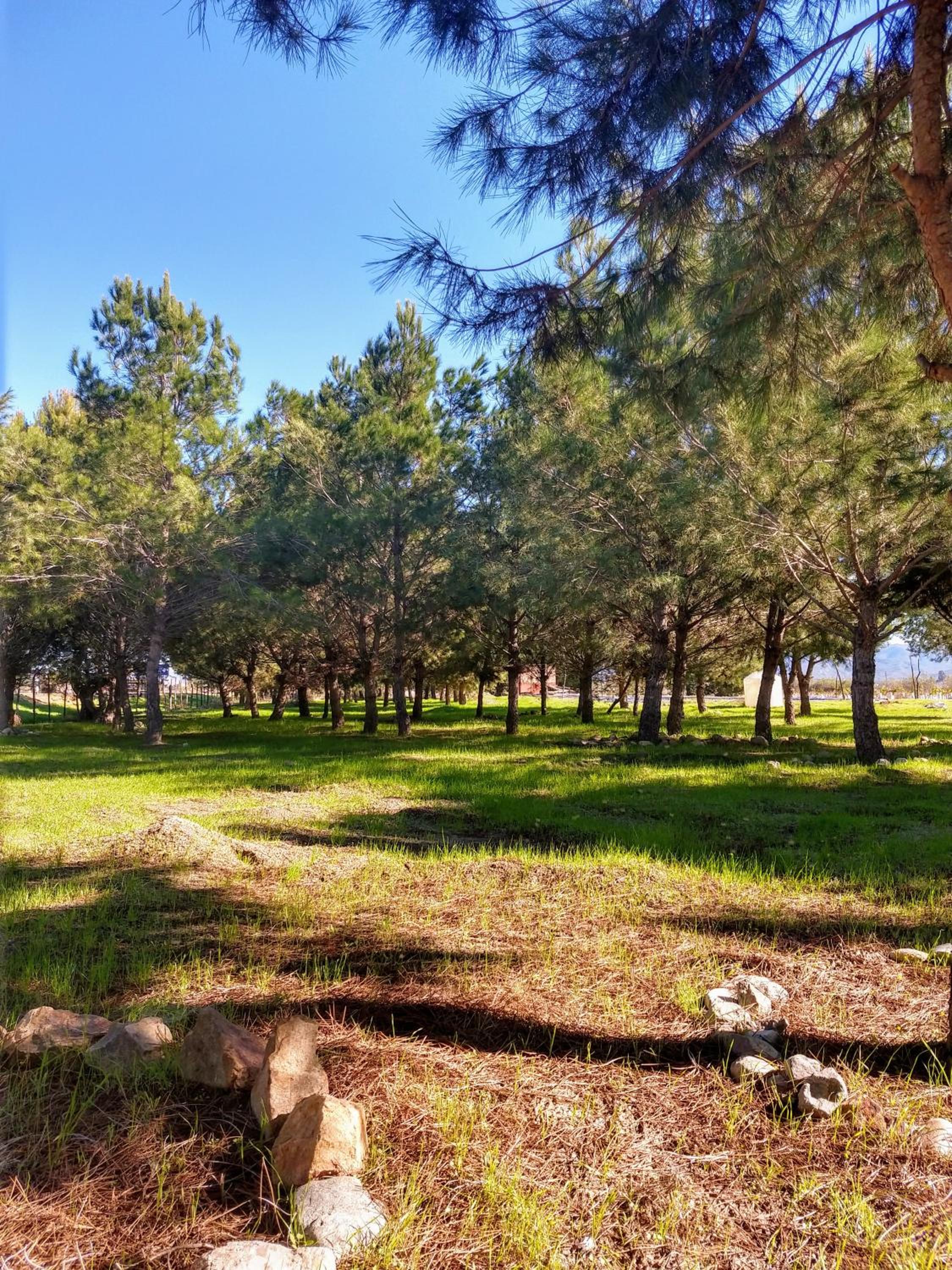 Fernabella's Lodge