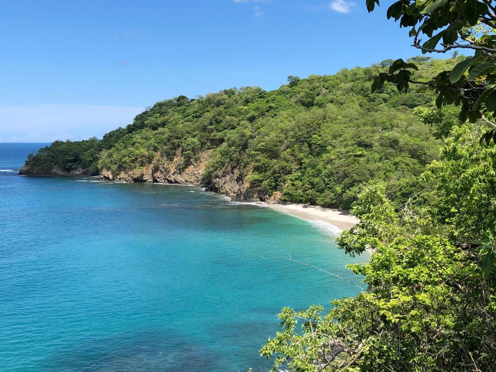 The Sloth Retreat & Studio Fortuna