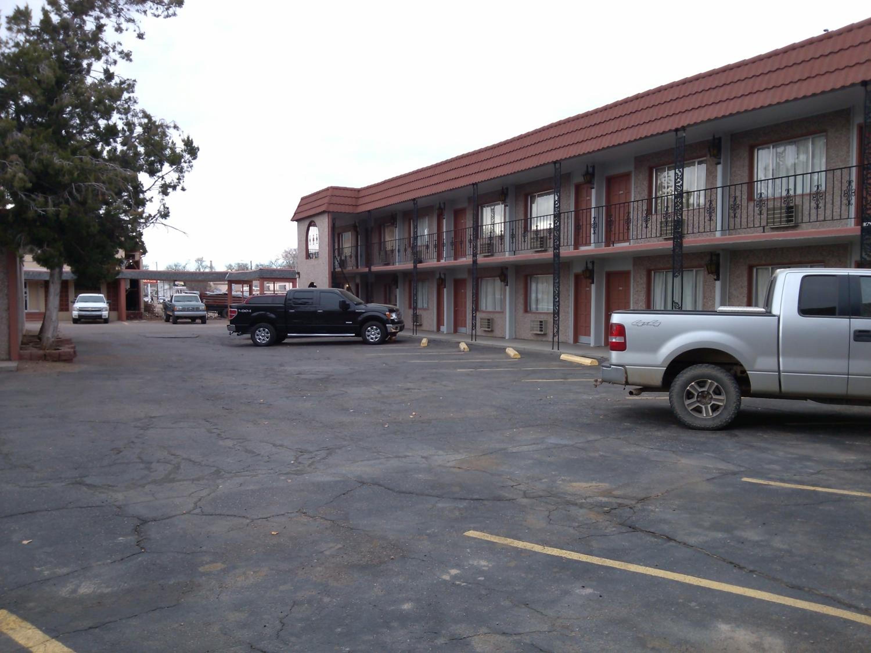 Photo 10