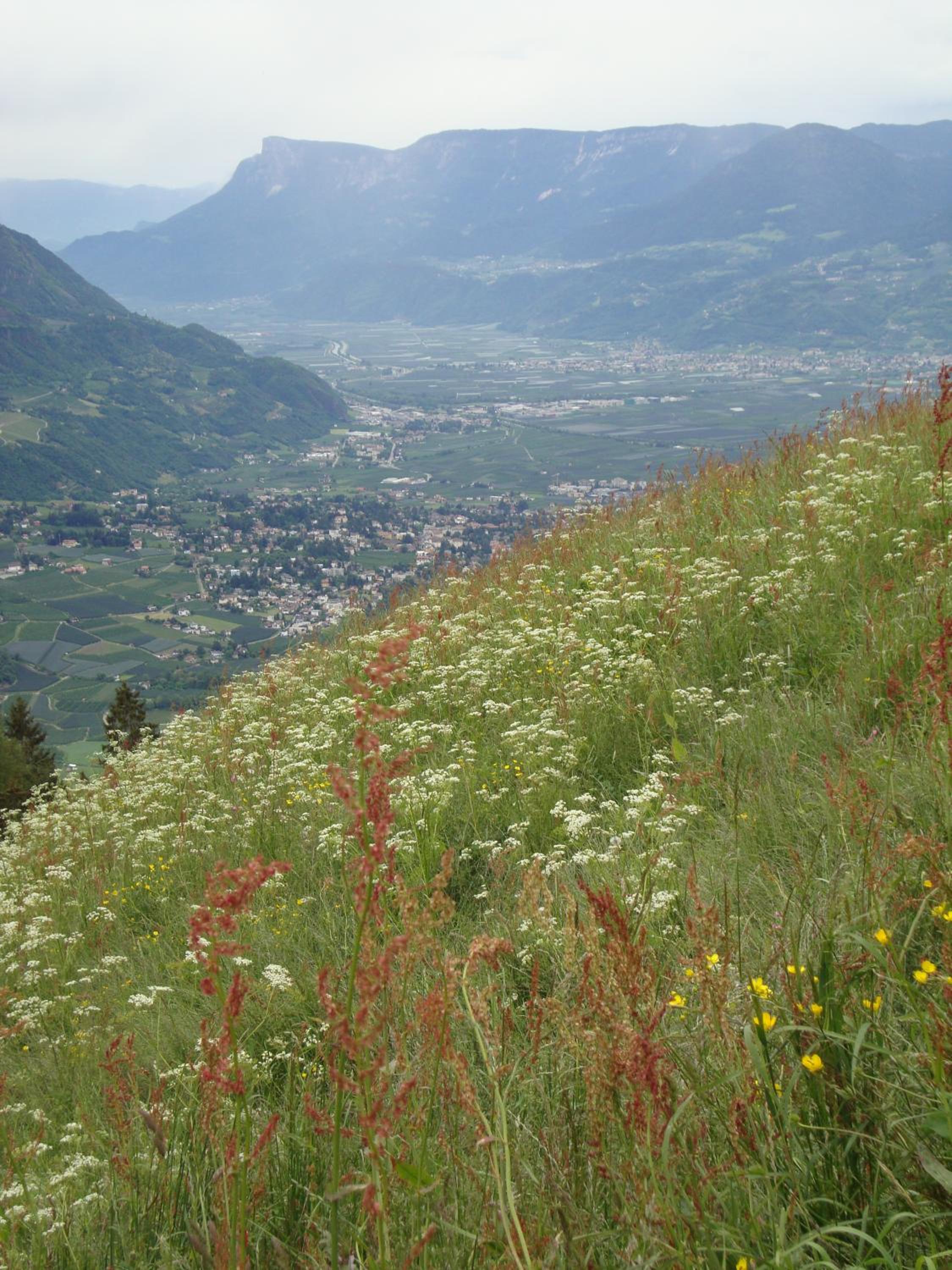 Unterthurnerhof