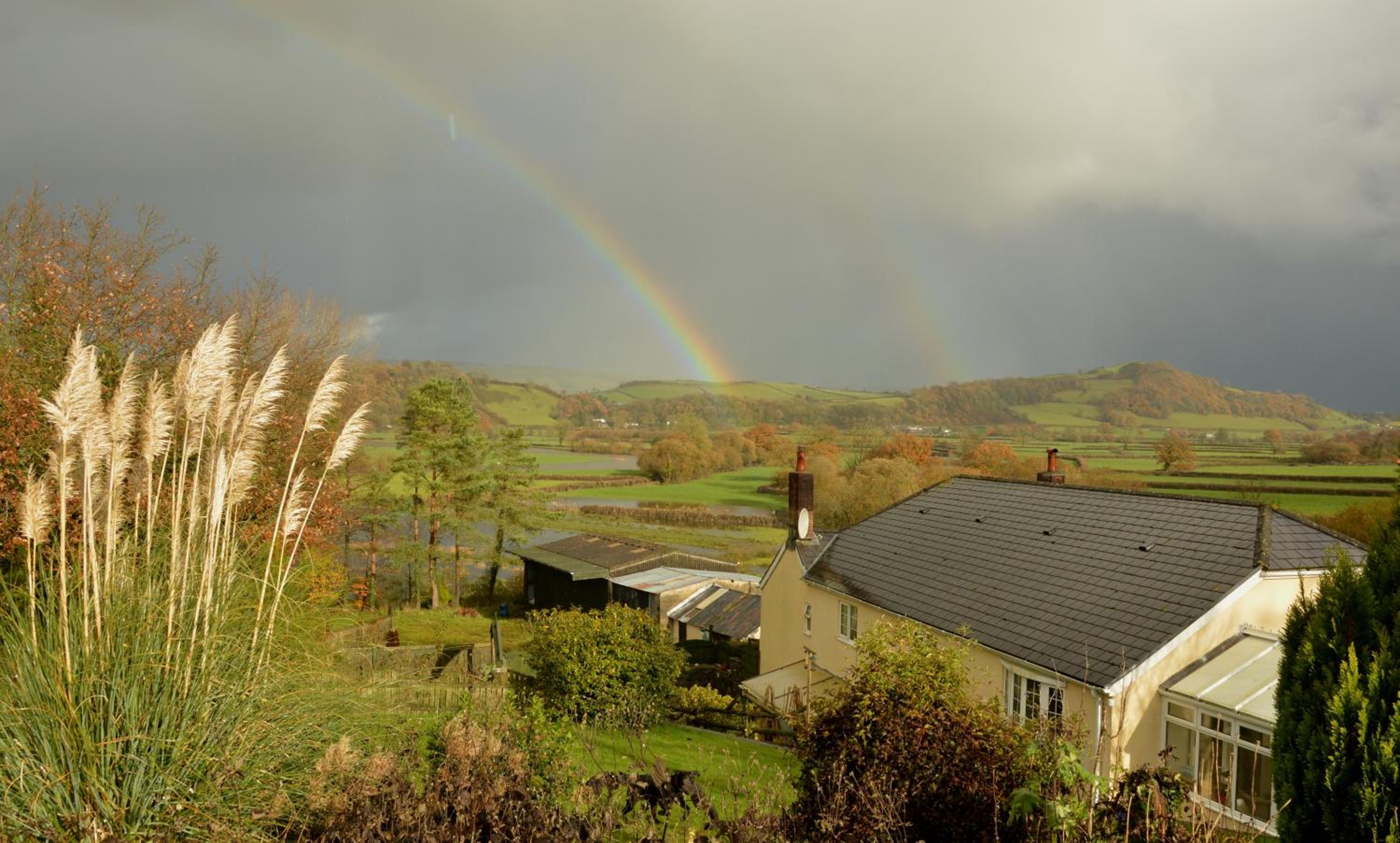 Bryn Hebog