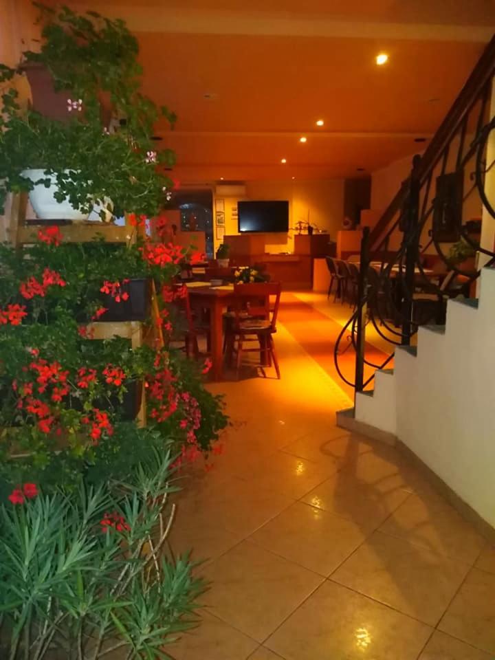 Motel Ioanis view 4