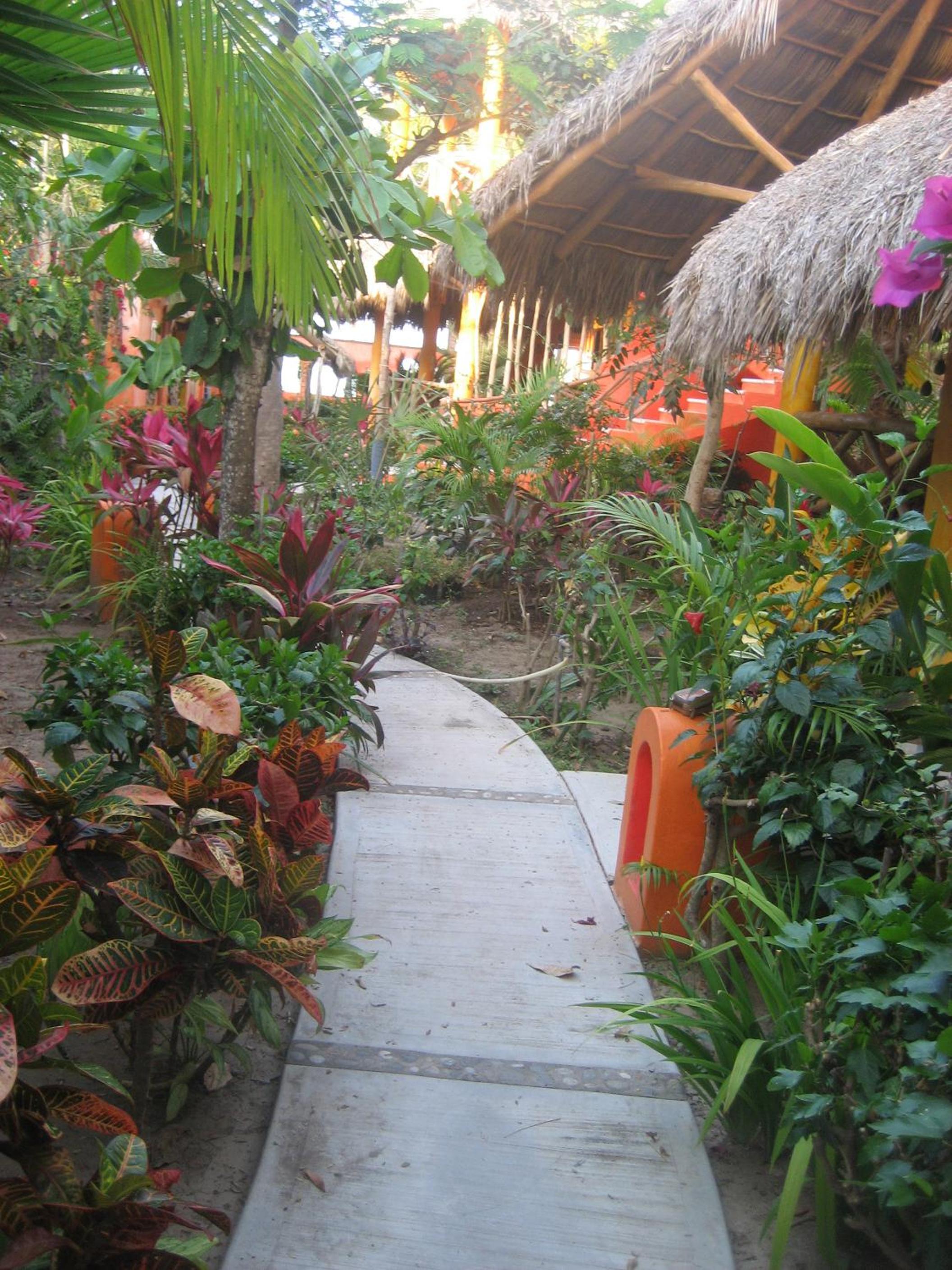 Photo 12
