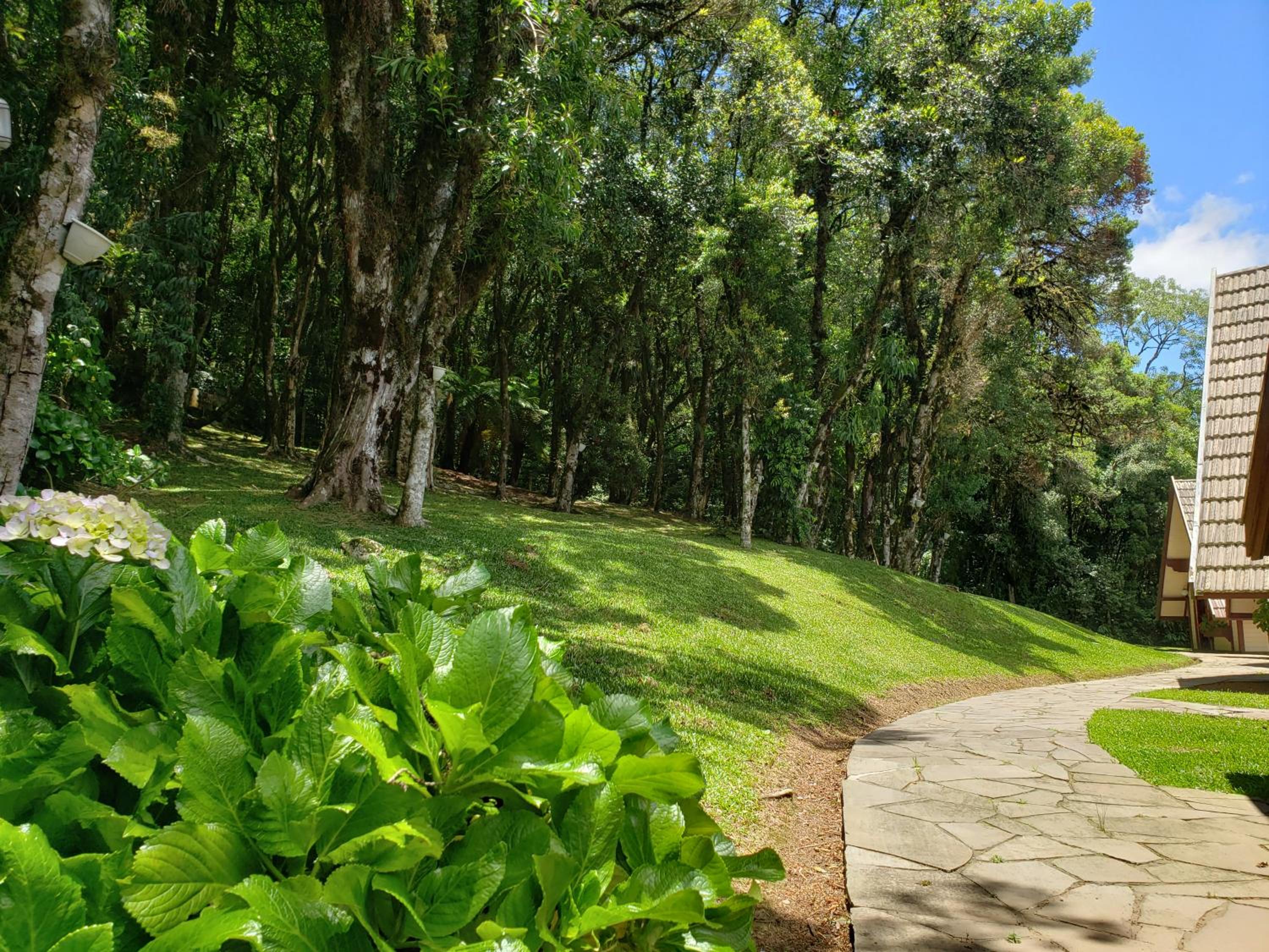 Hotel Pousada das Flores