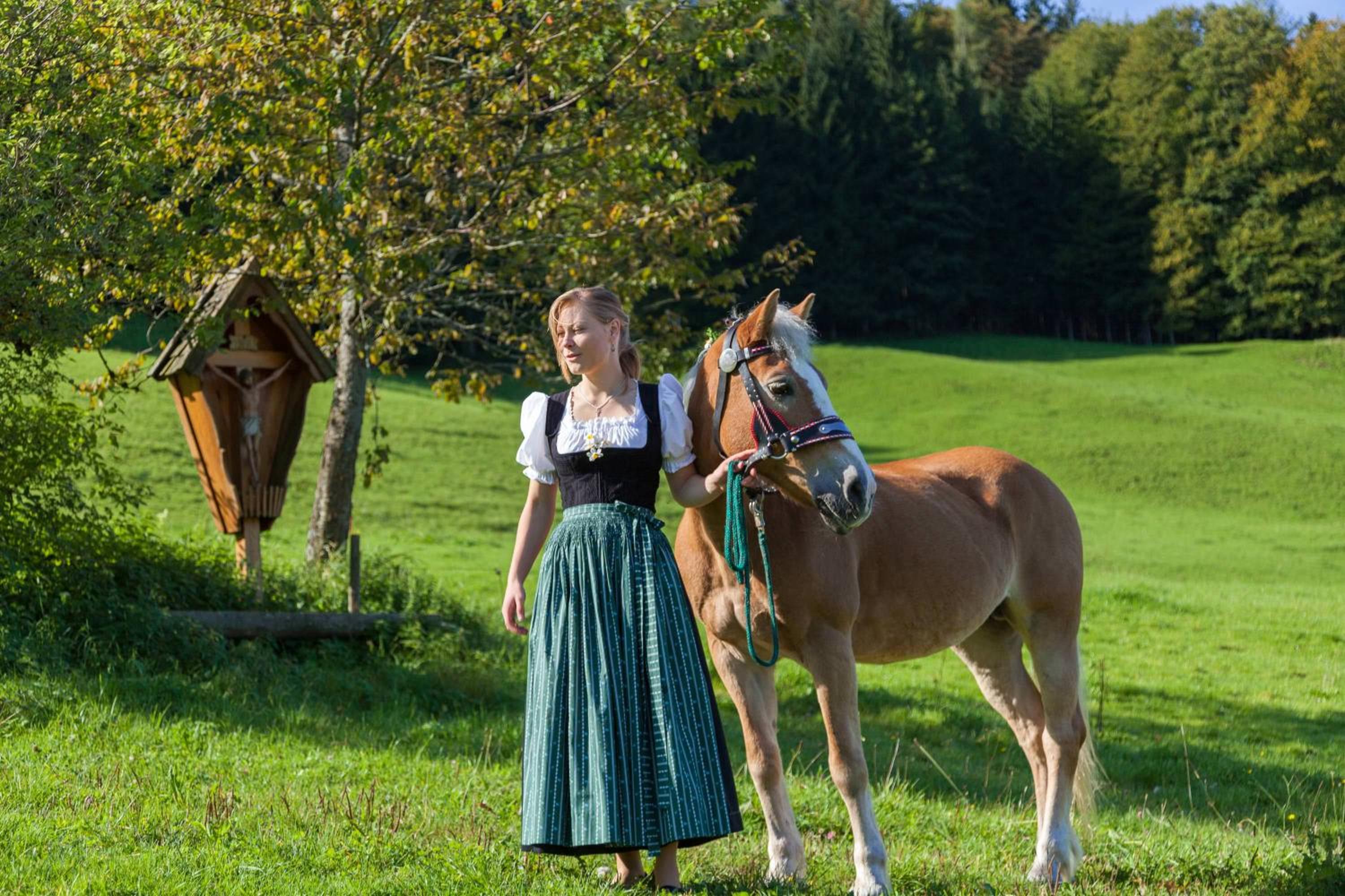 Rauchenbichlhof view 5