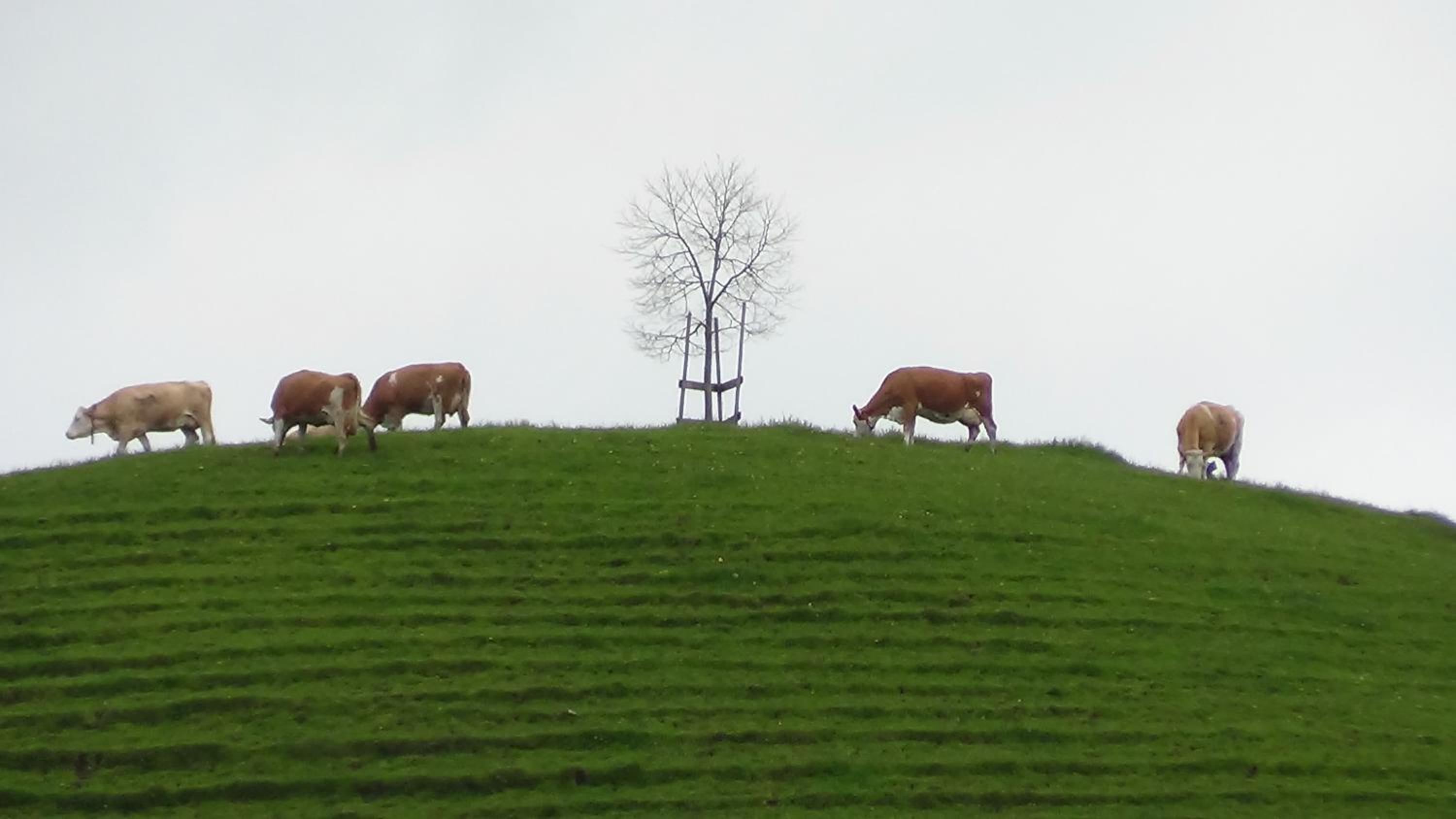 Ferienhof Krinde view 4