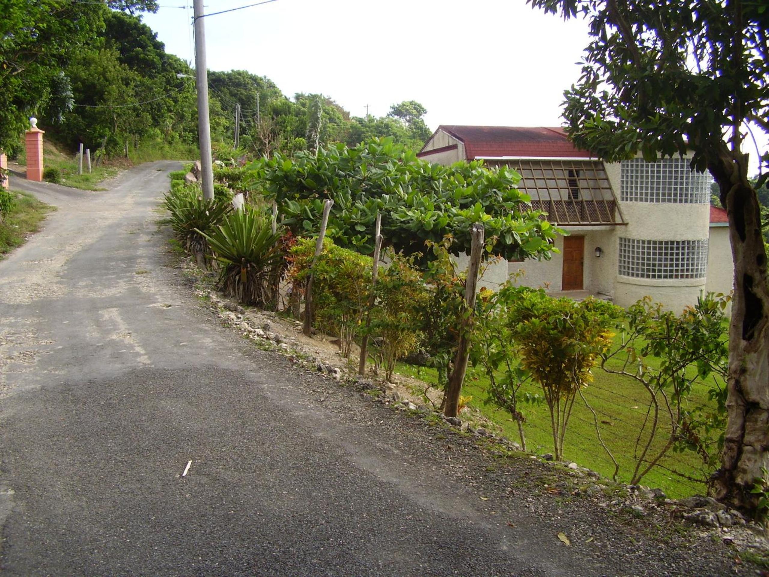 Teresinajamaica
