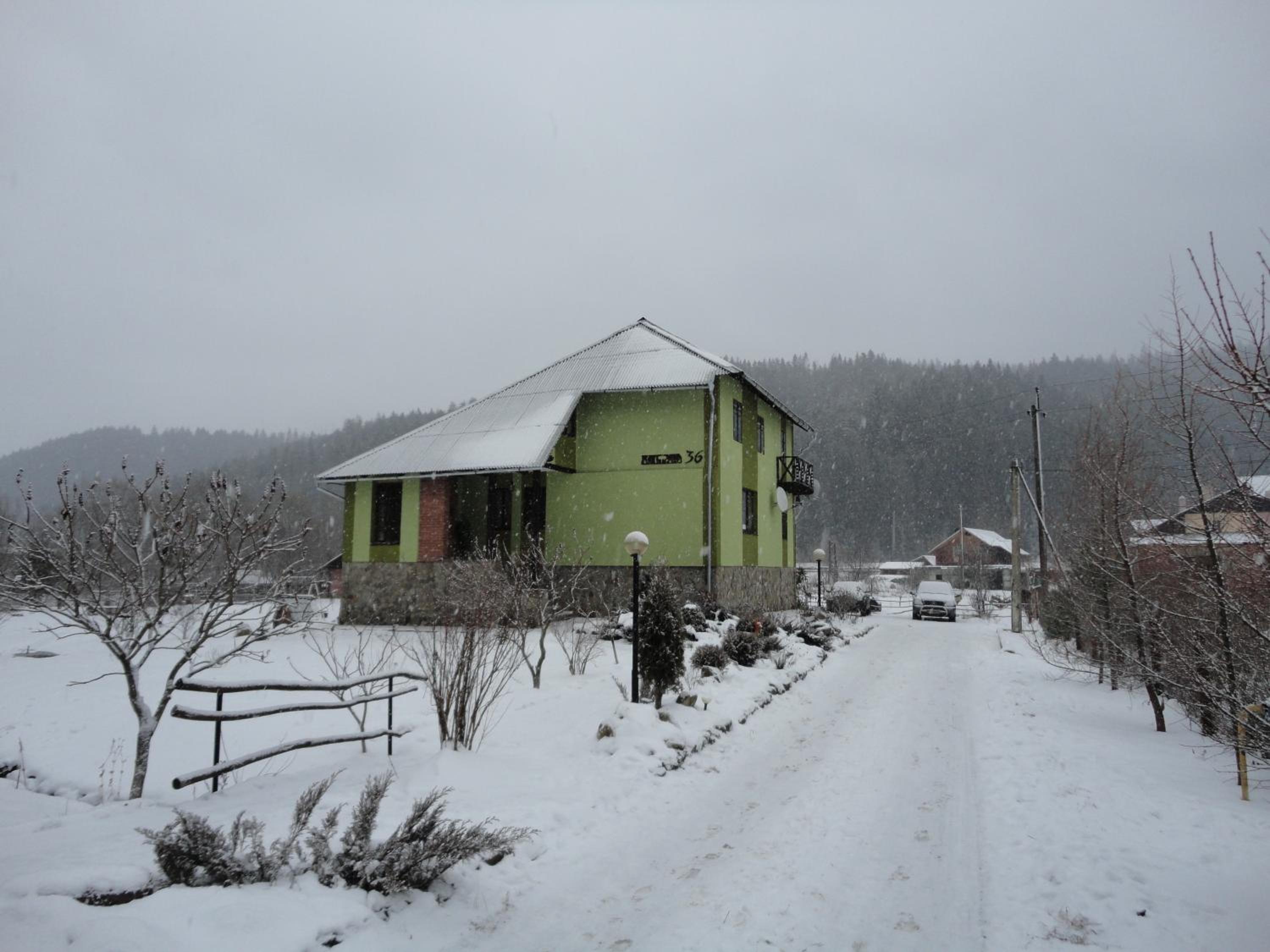 Photo 11